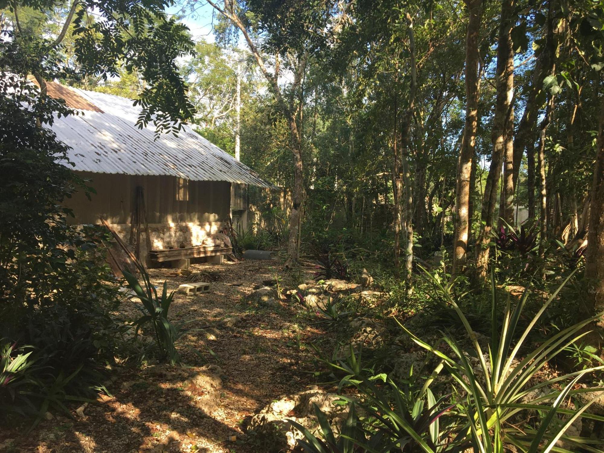 Barefoot Jungle Guest house *