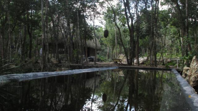 Guest house Barefoot Jungle