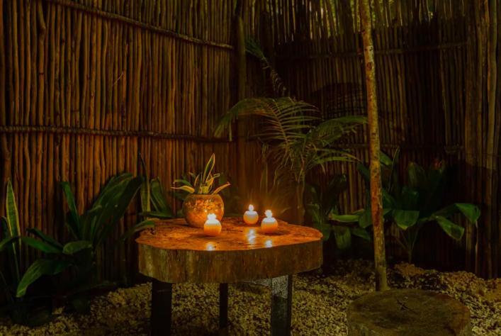 Executive Unit In Gated Community In Aldea Zama Tulum