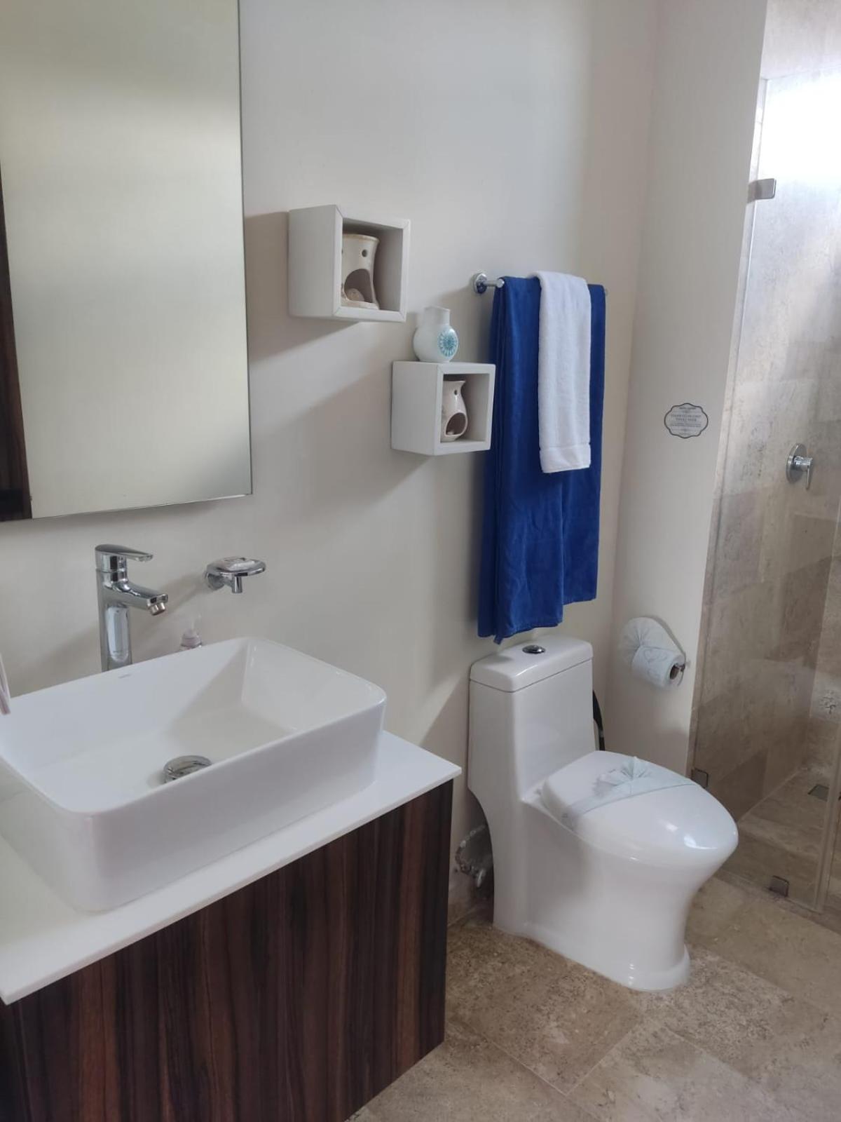 Luxury Rooftop With Private Pool