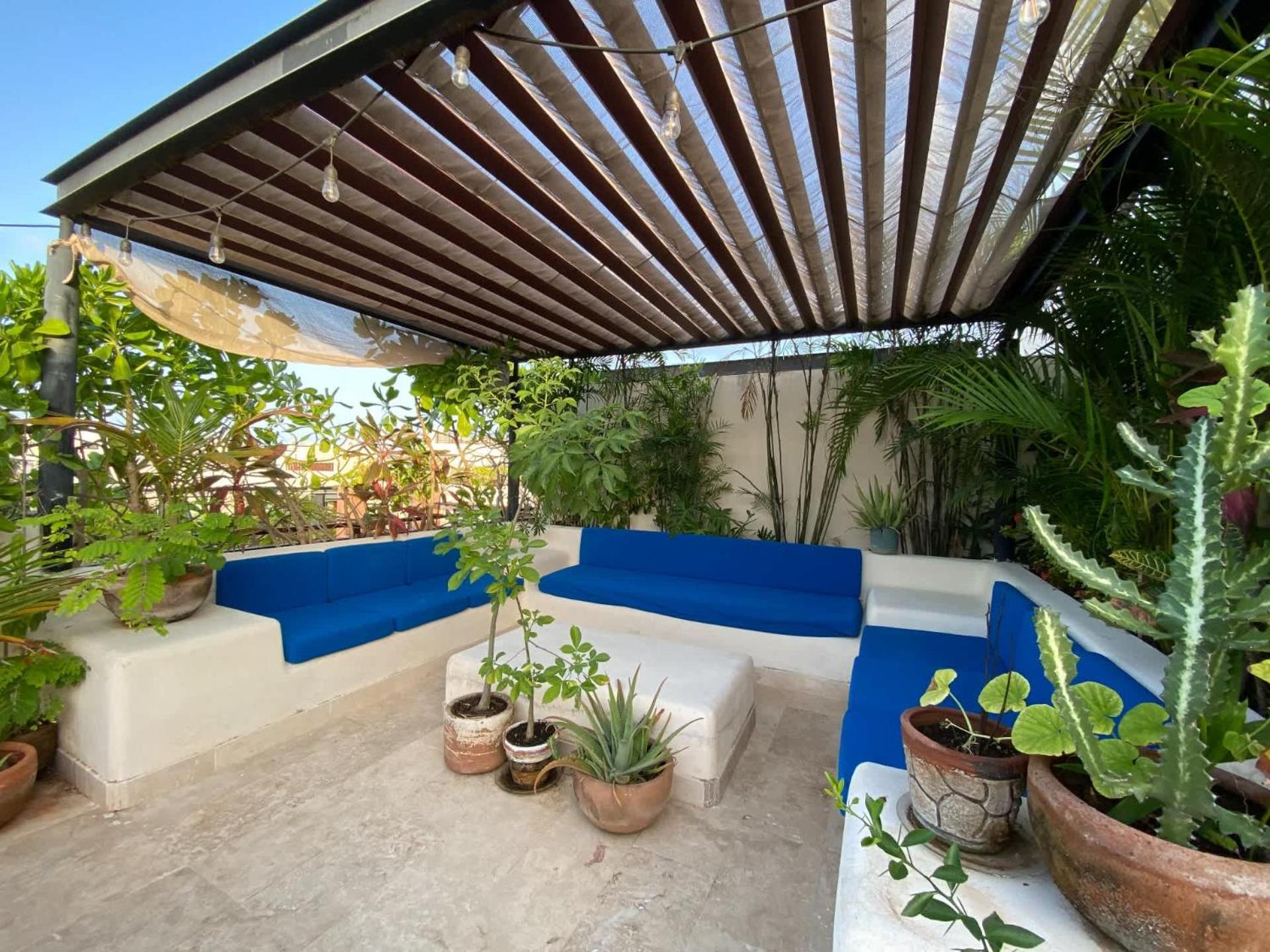 Tropical Haven - Luxury With Private Rooftop Pool And Amazing Pool View Apartment