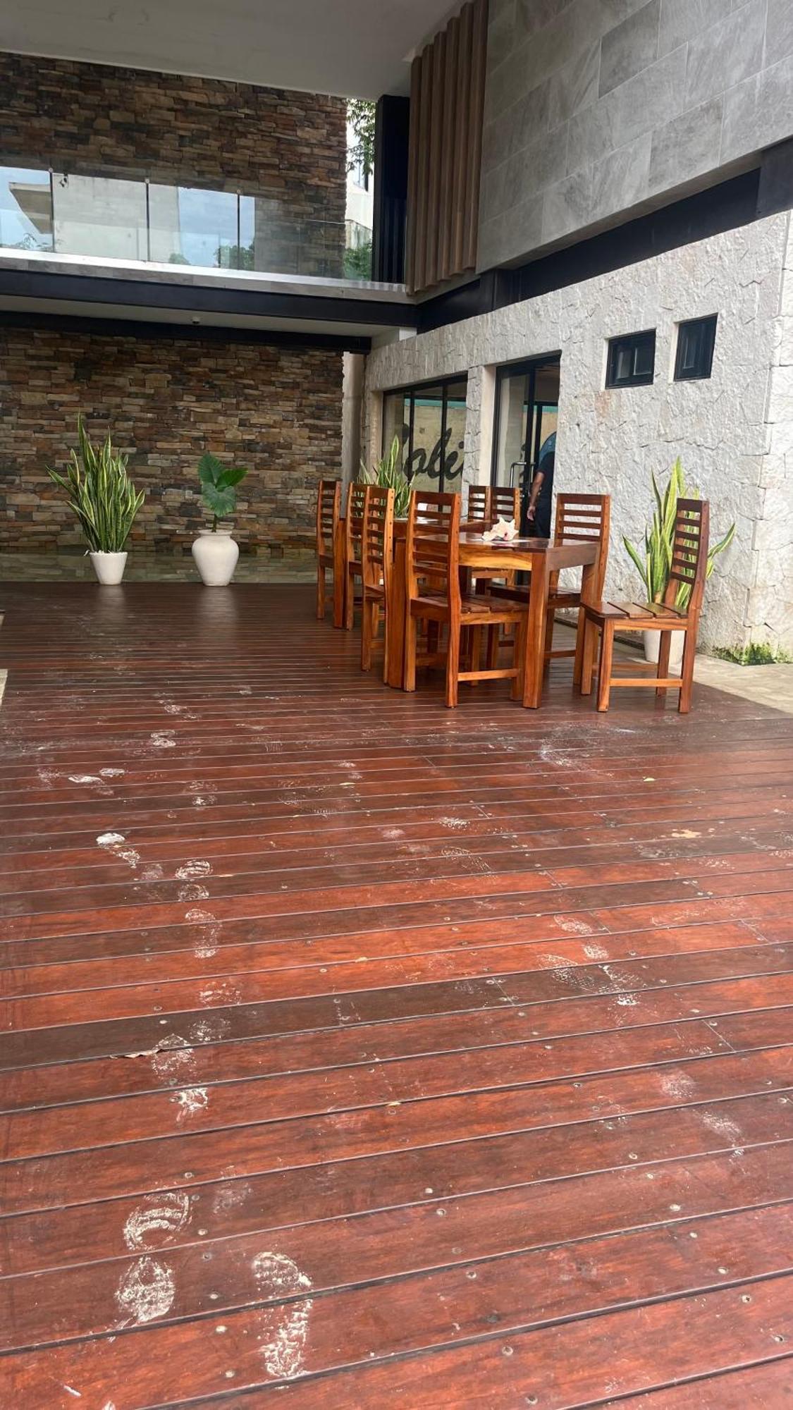 Cacao Estudio Particular