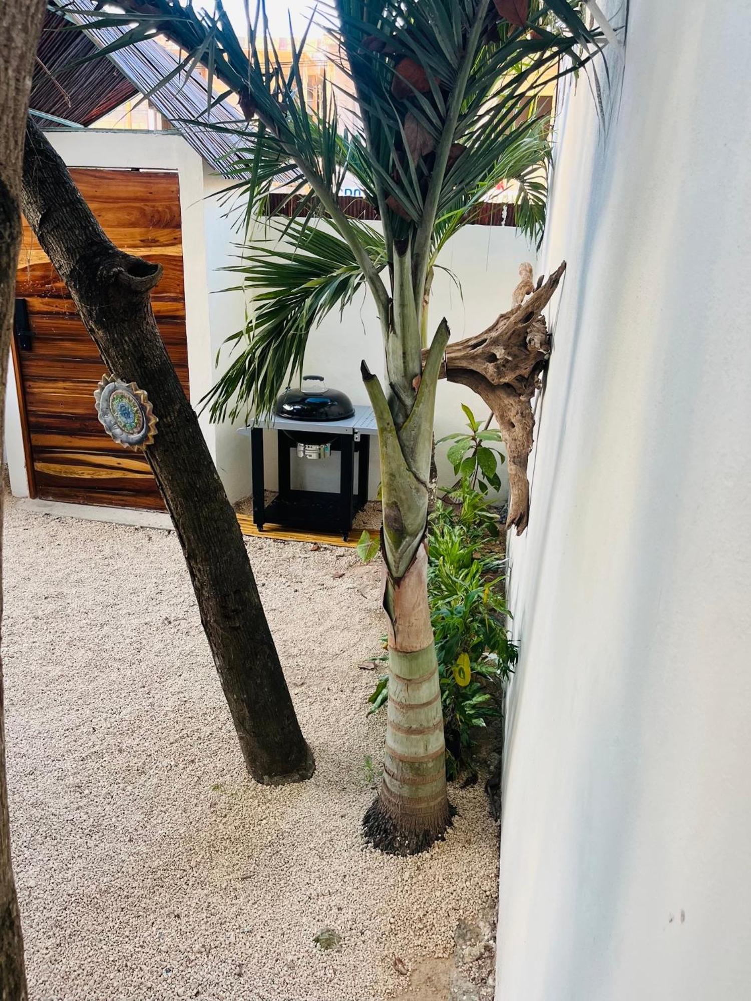 Kaibil Balam * Tulum