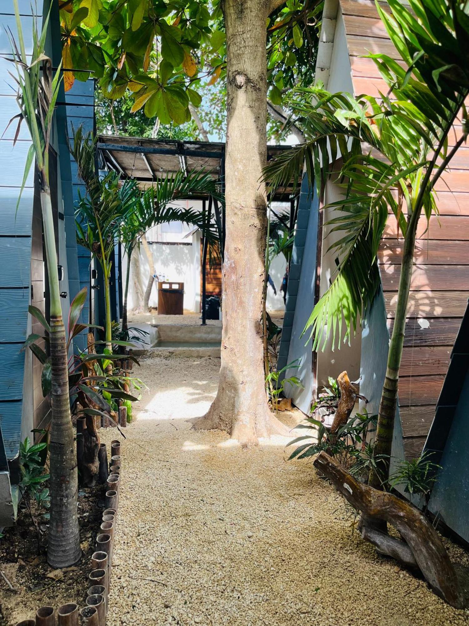 Kaibil Balam * Tulum