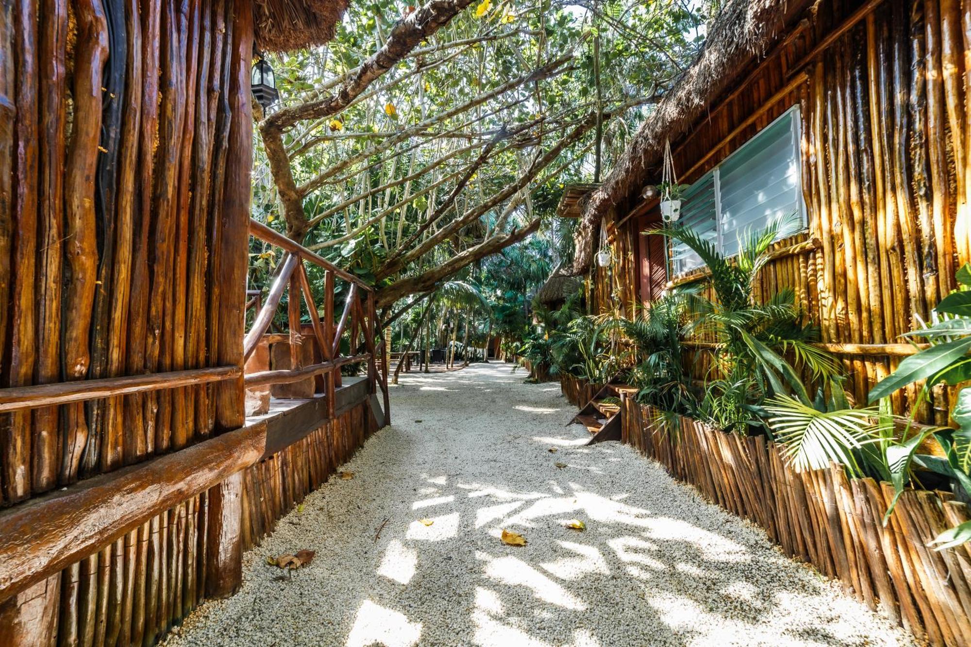 Hotel Eco Banitas