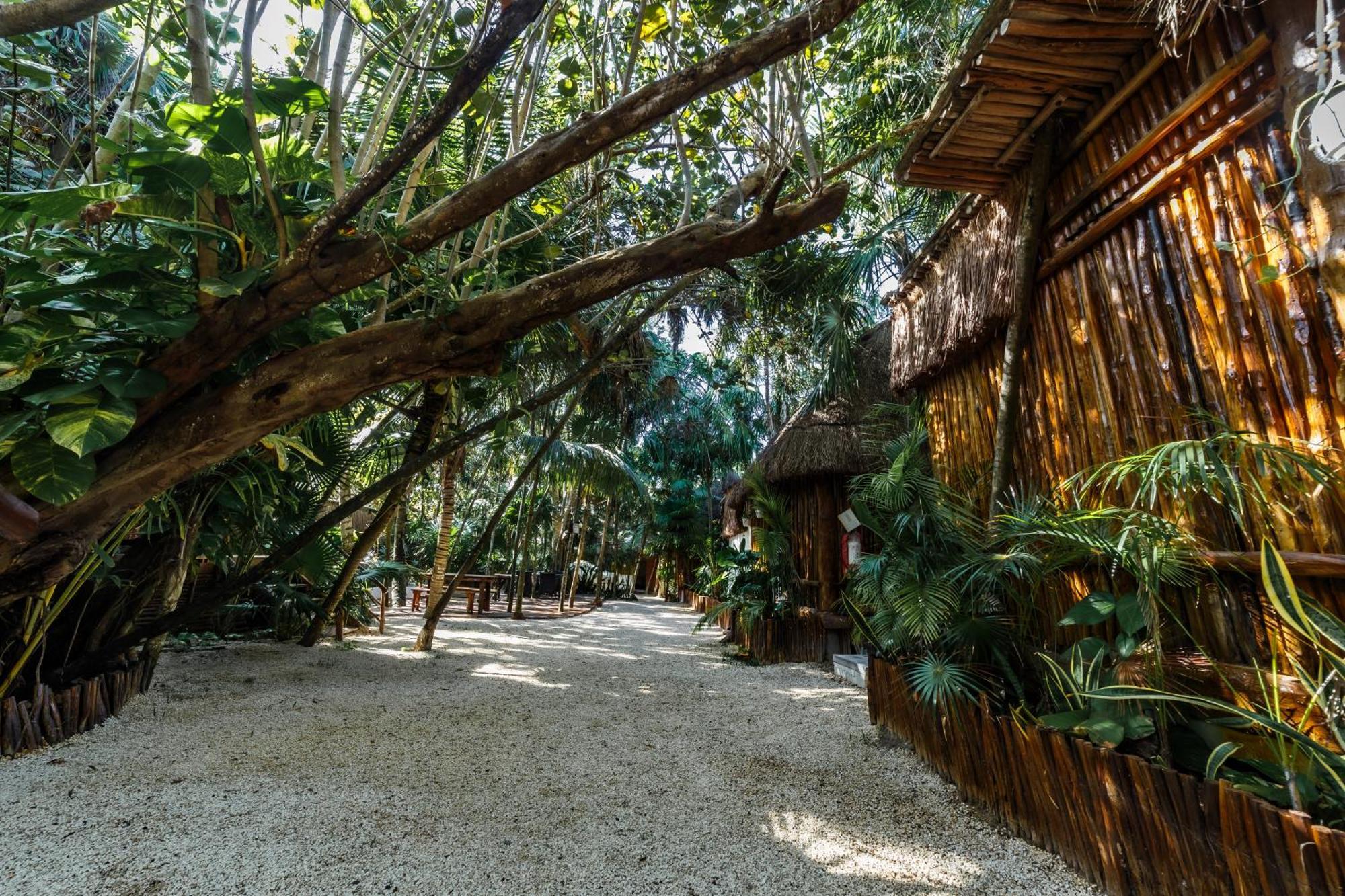 Eco Banitas *