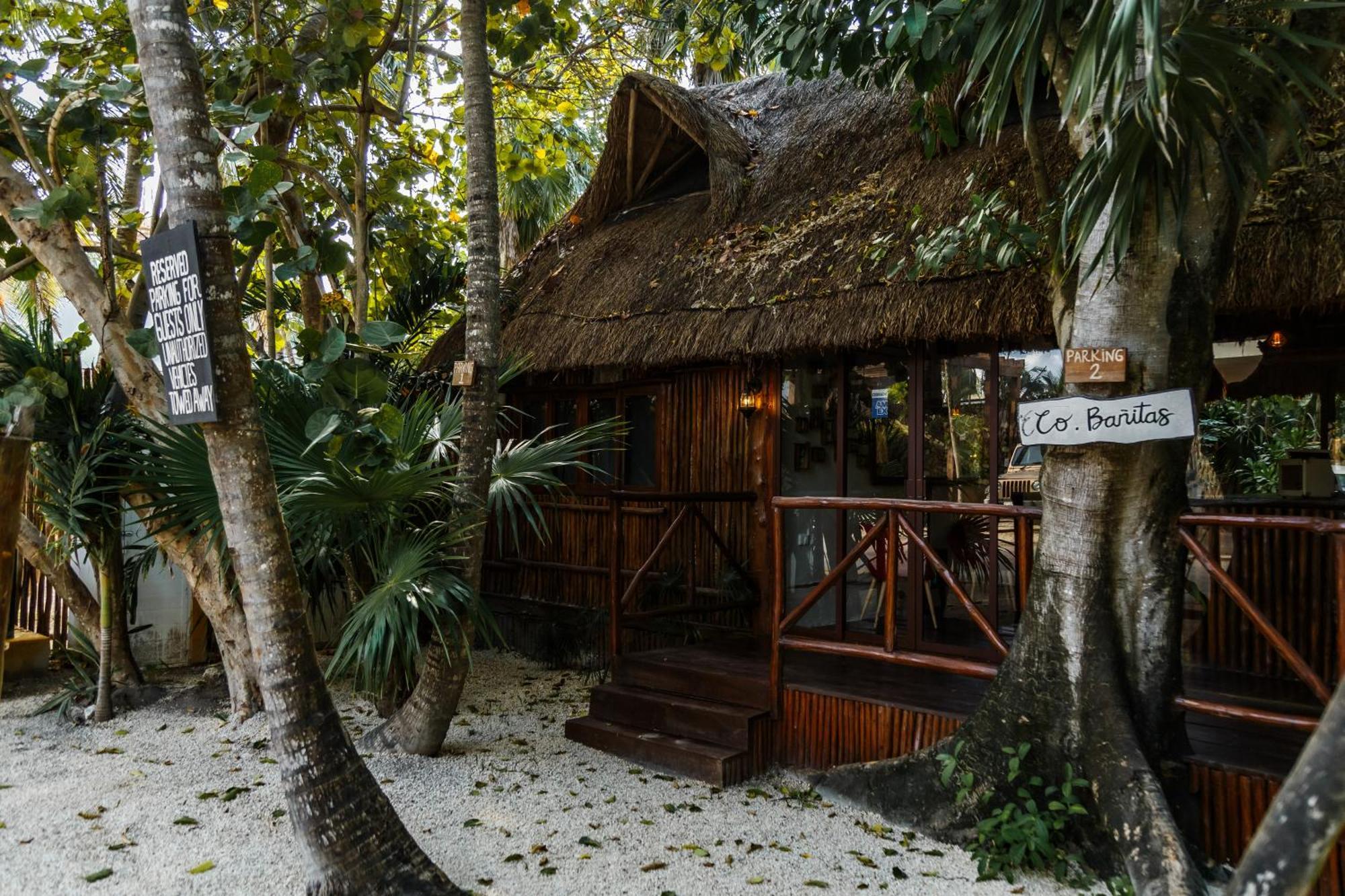 Eco Banitas Hotel