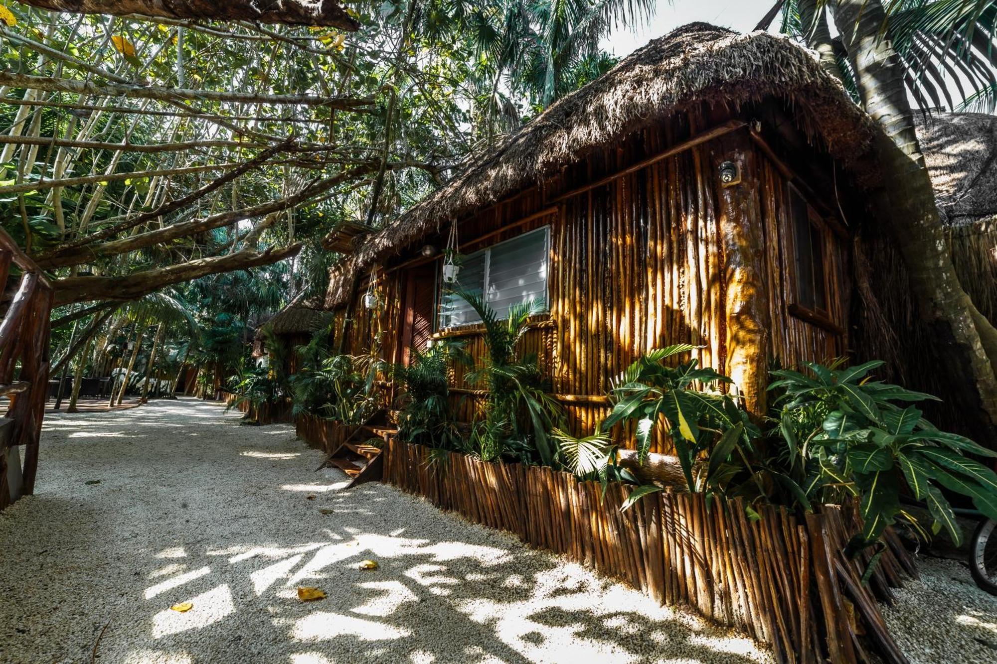 Eco Banitas Hotel *