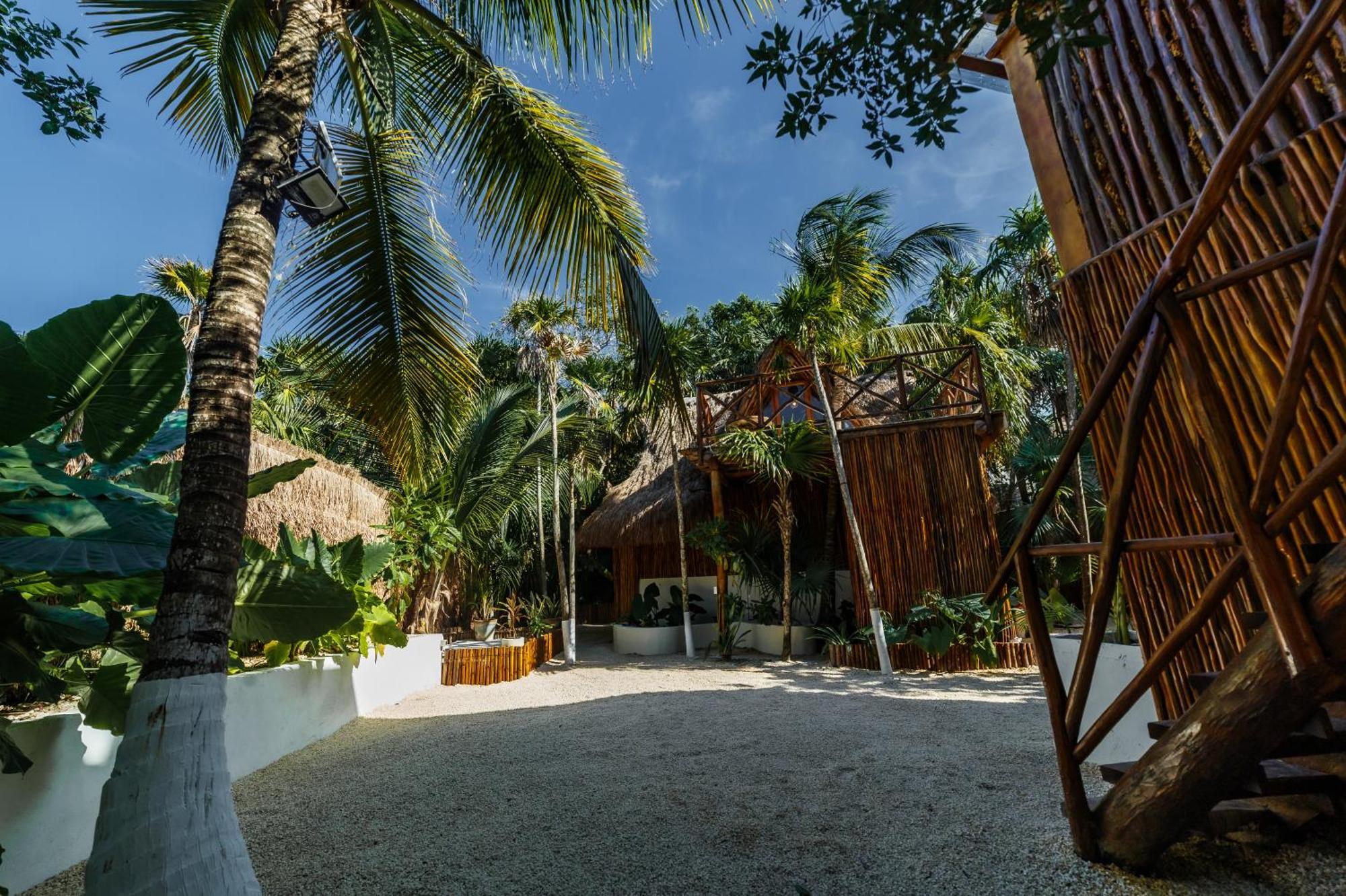 Eco Banitas Hotel Tulum