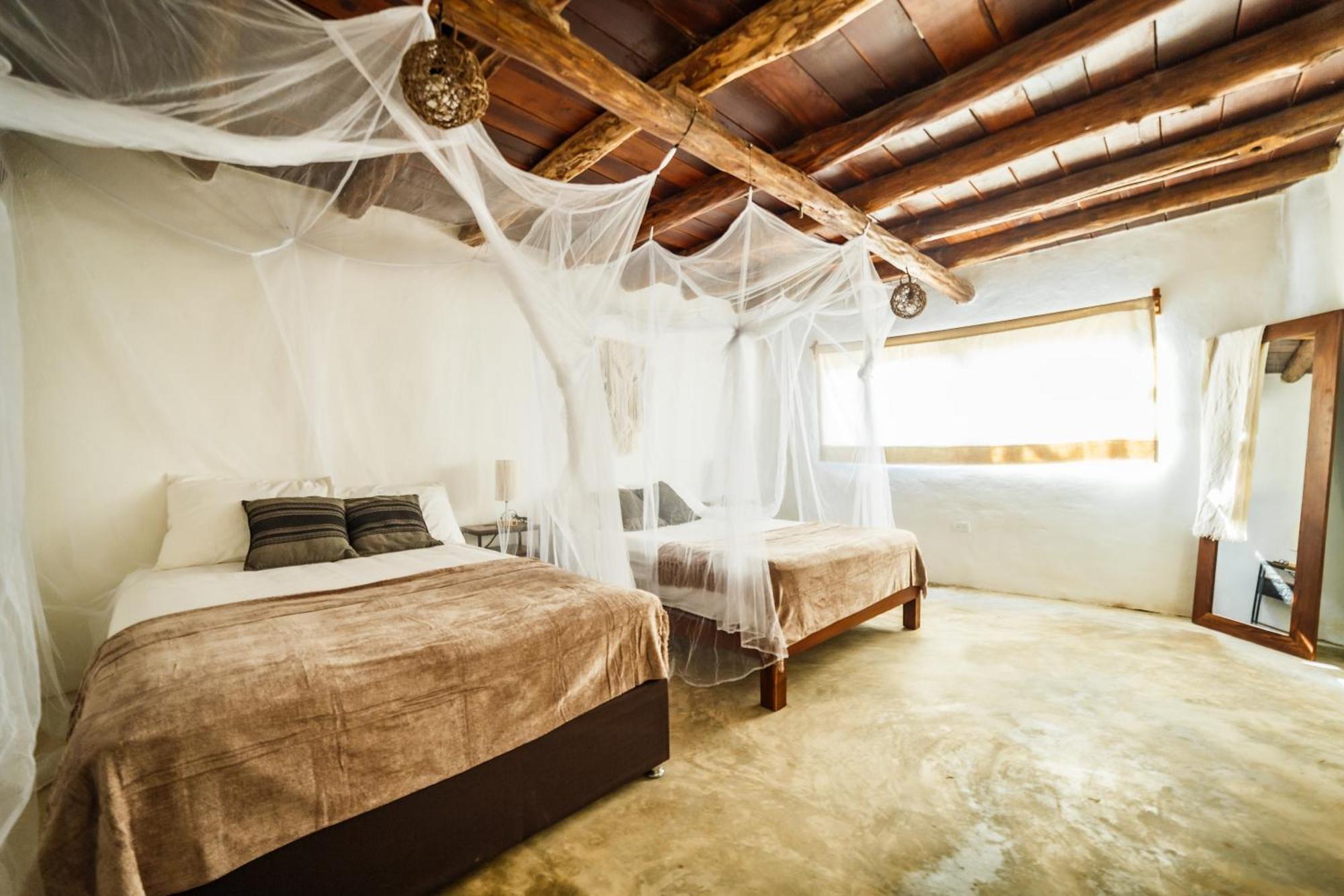 Eco Banitas *