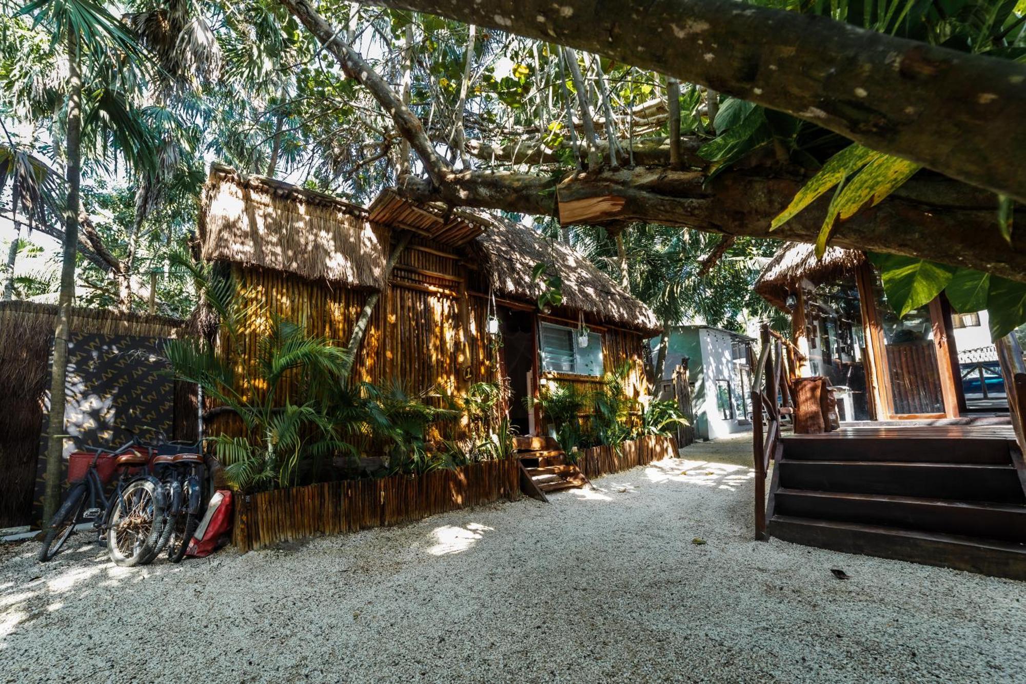 Eco Banitas Tulum