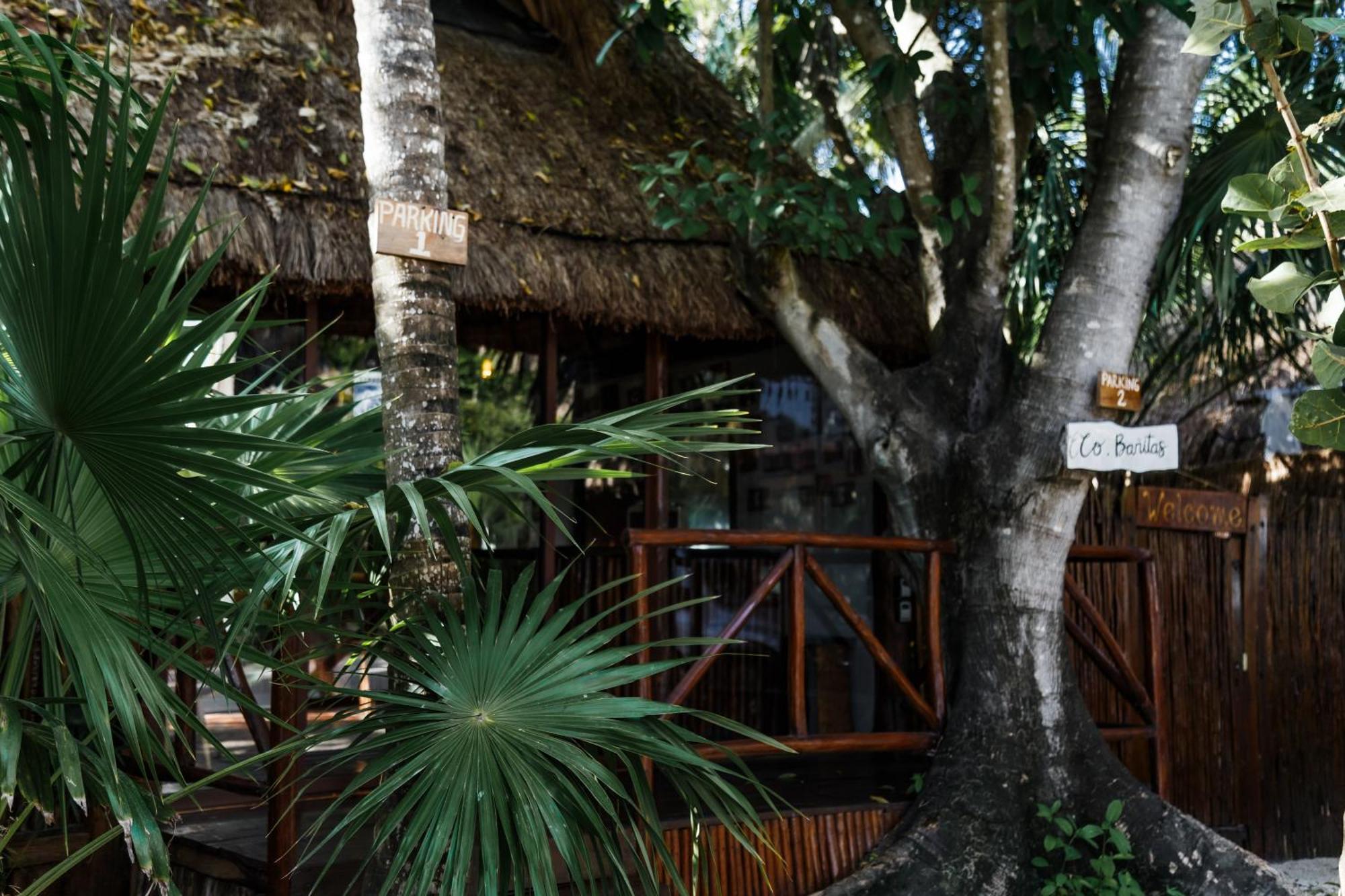 Hotel Eco Banitas *