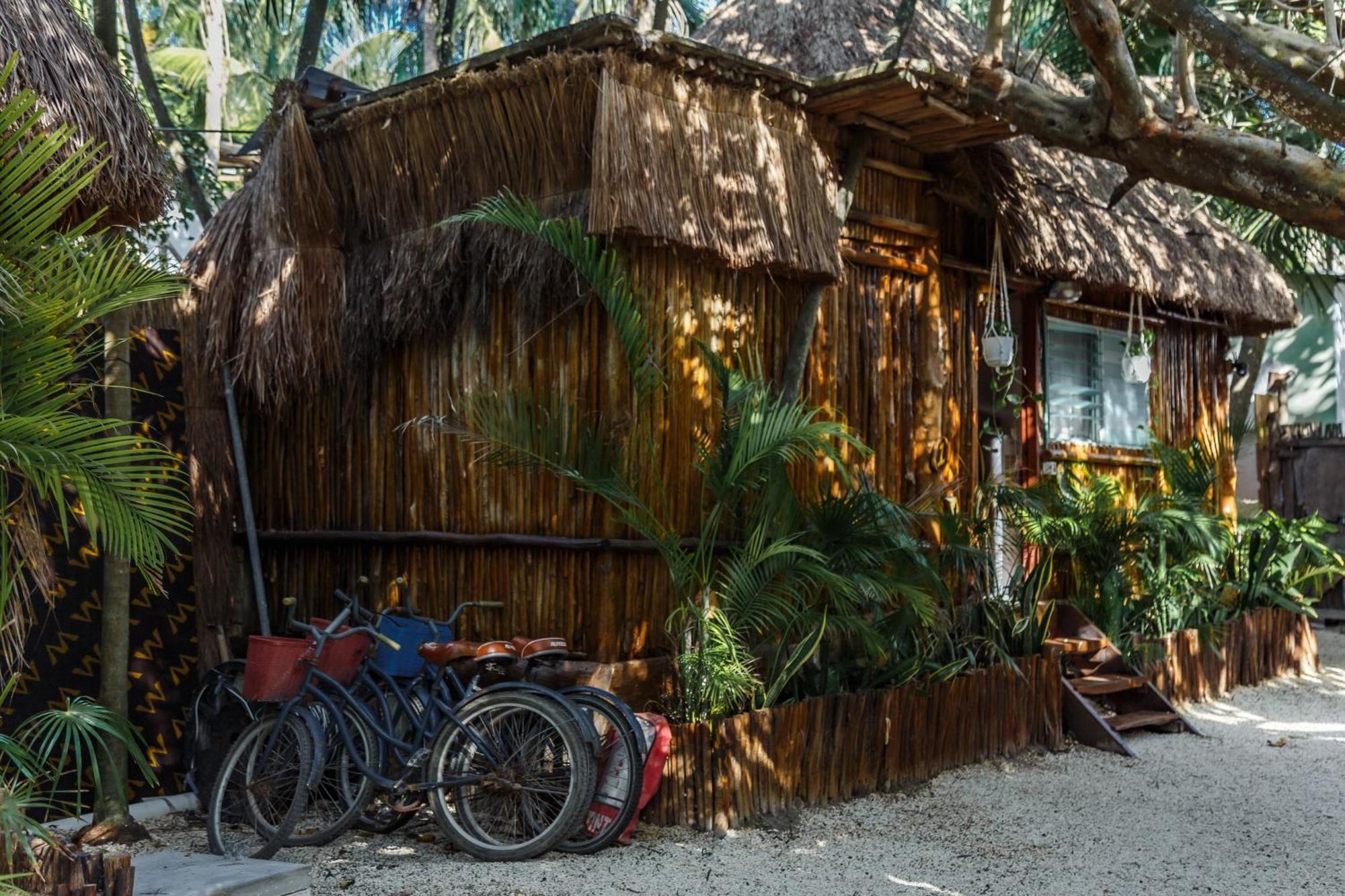 Hotel Eco Banitas *
