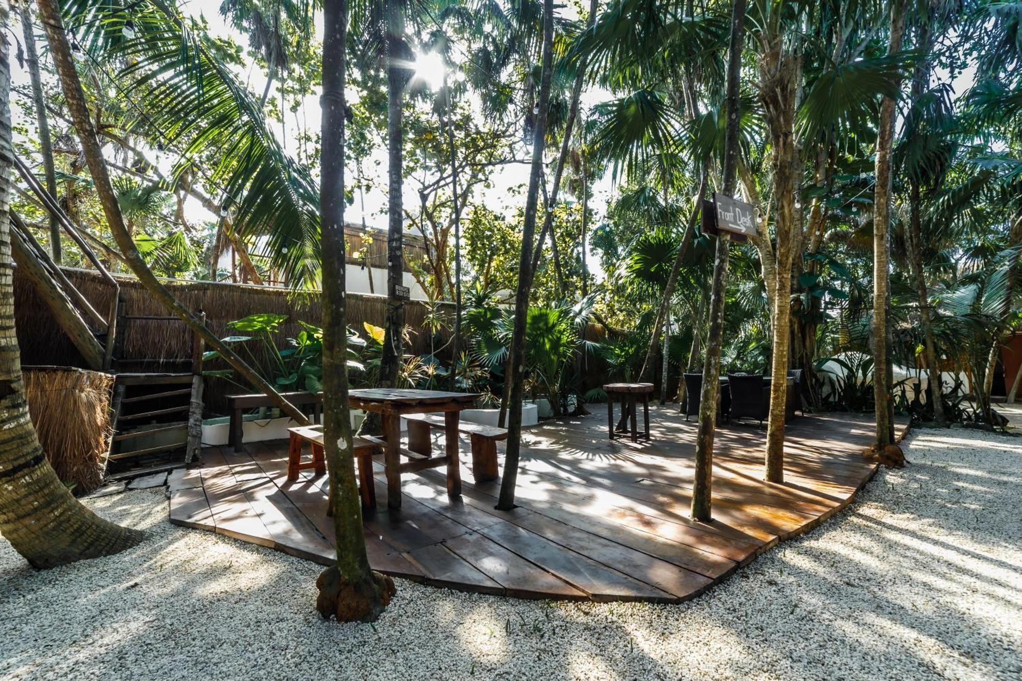 Eco Banitas Hotel