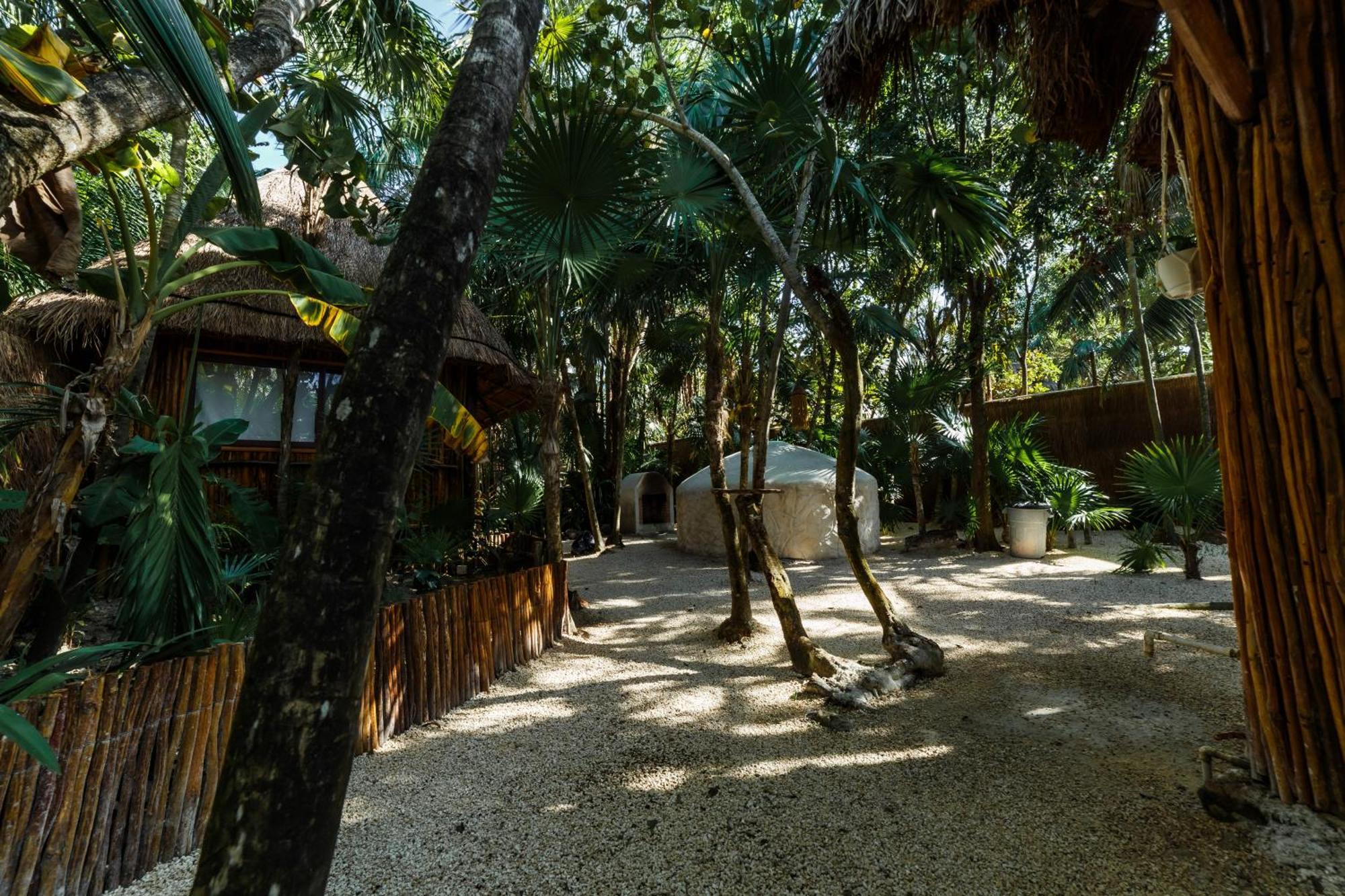 Eco Banitas *