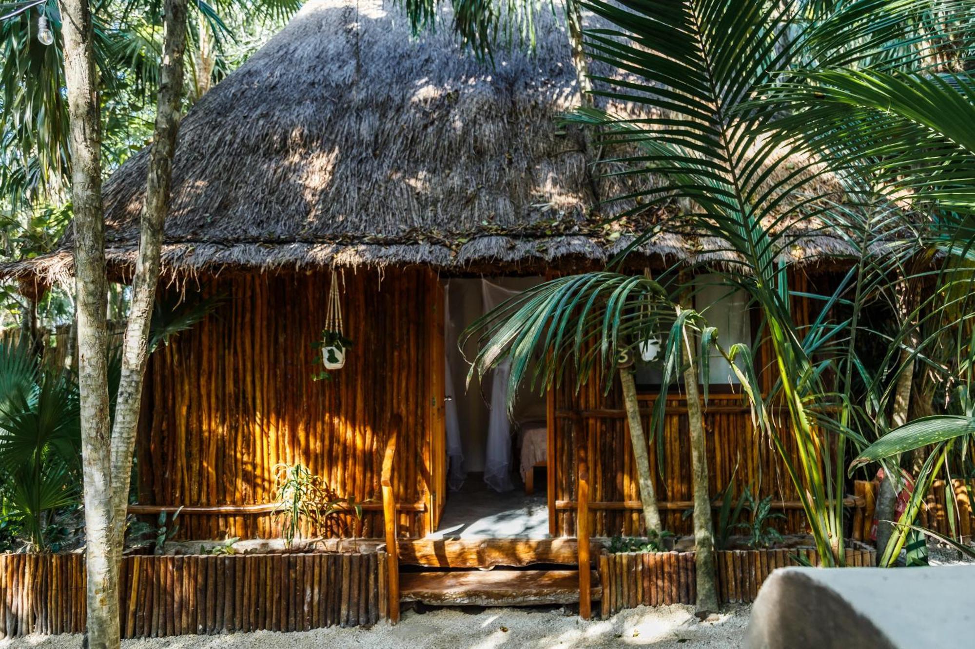 Eco Banitas Hotel Tulum