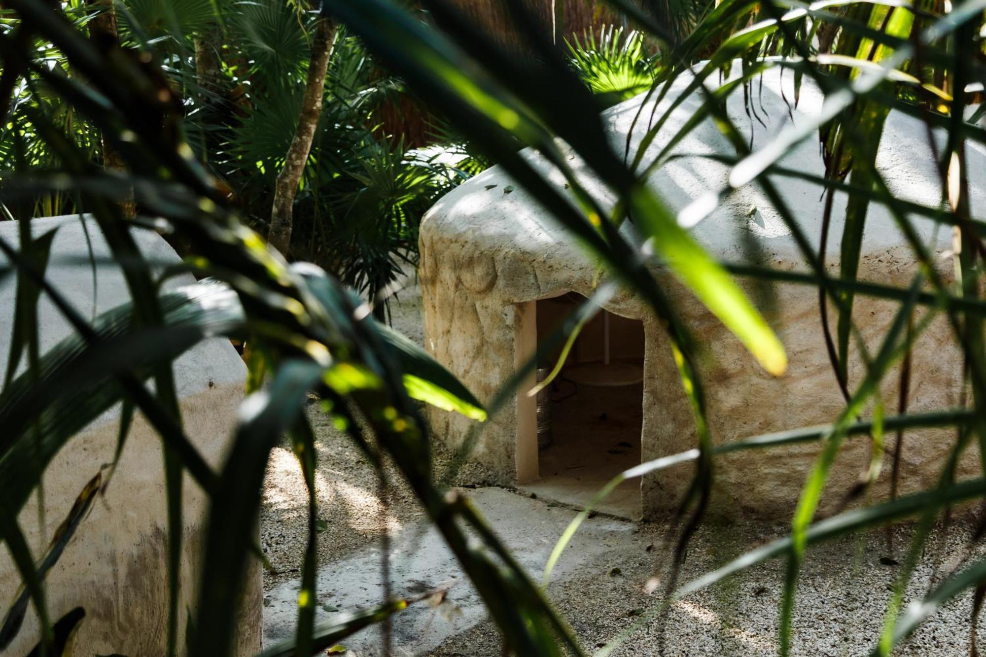 Eco Banitas