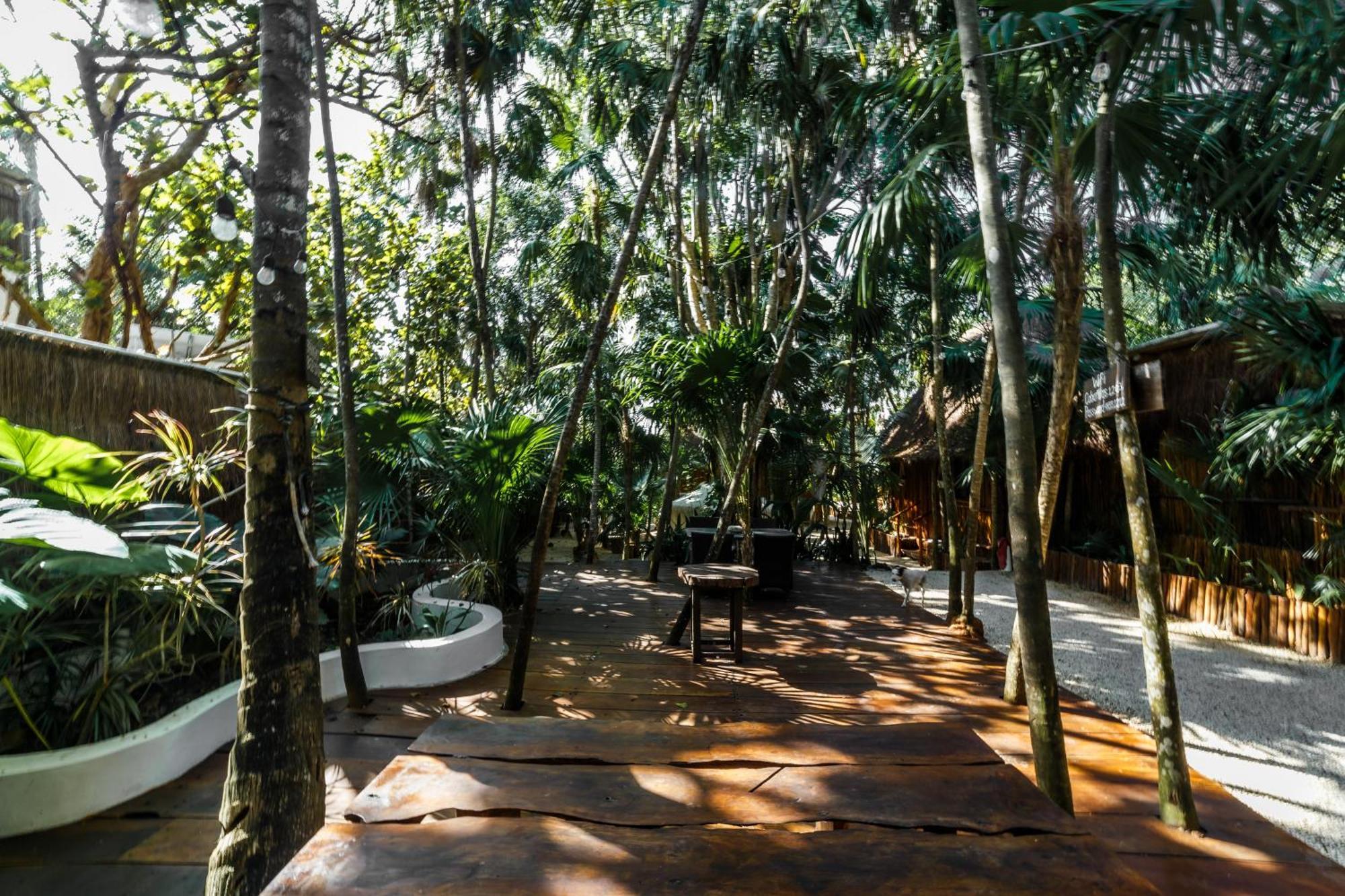 Eco Banitas Hotel
