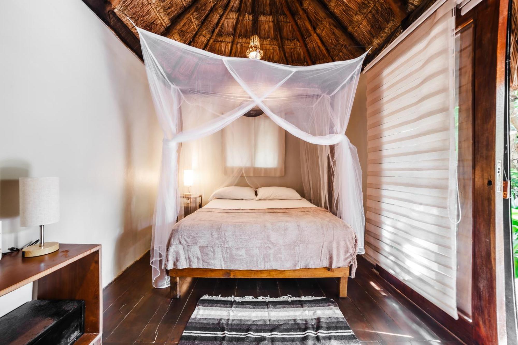 Eco Banitas *