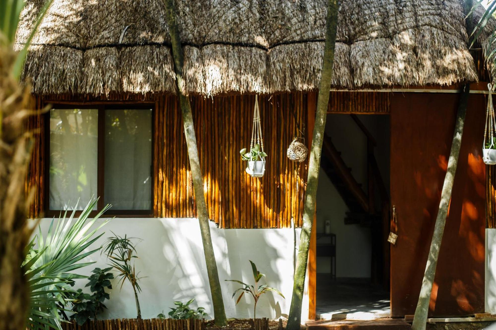 Eco Banitas Tulum