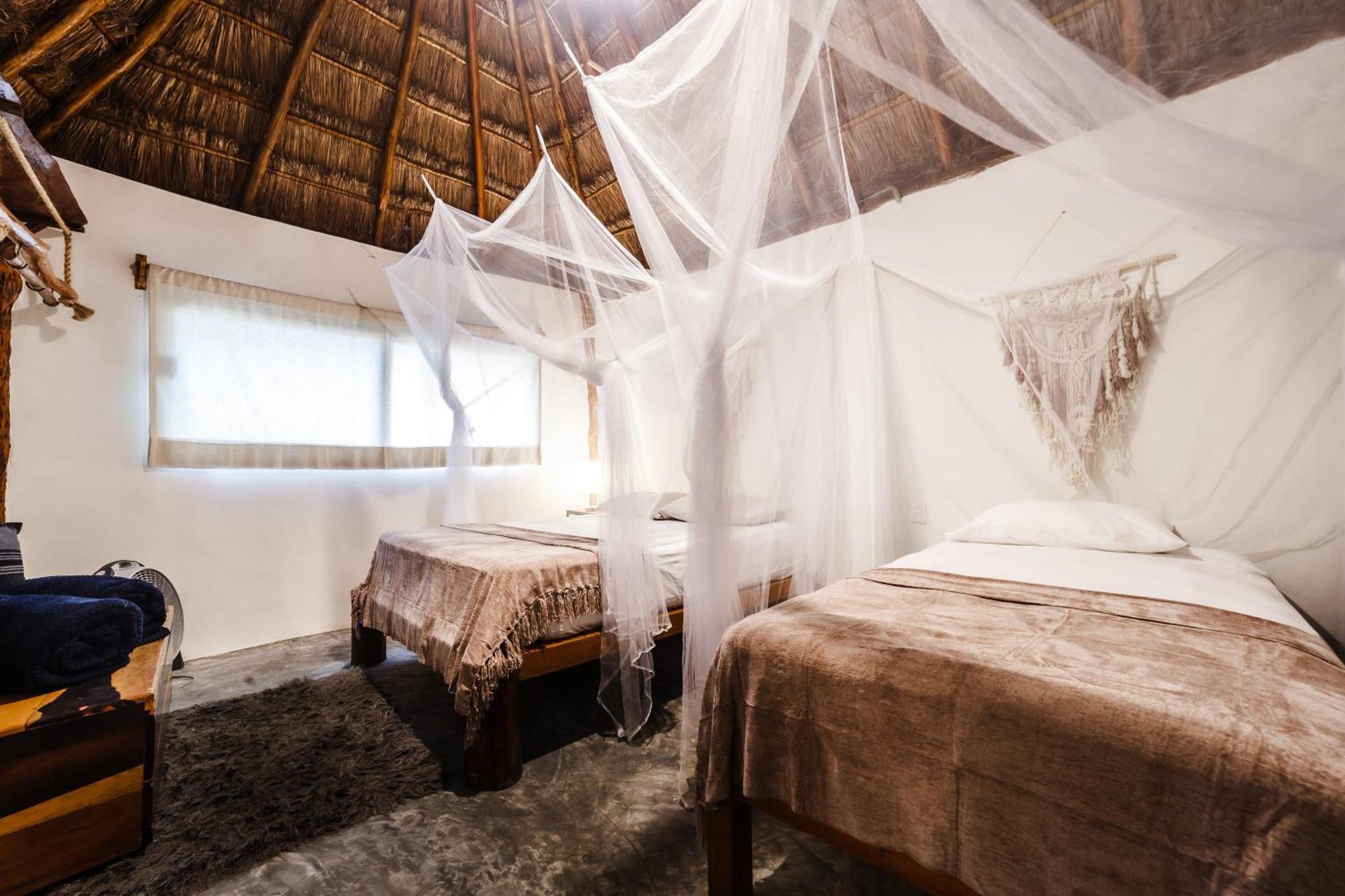 Eco Banitas