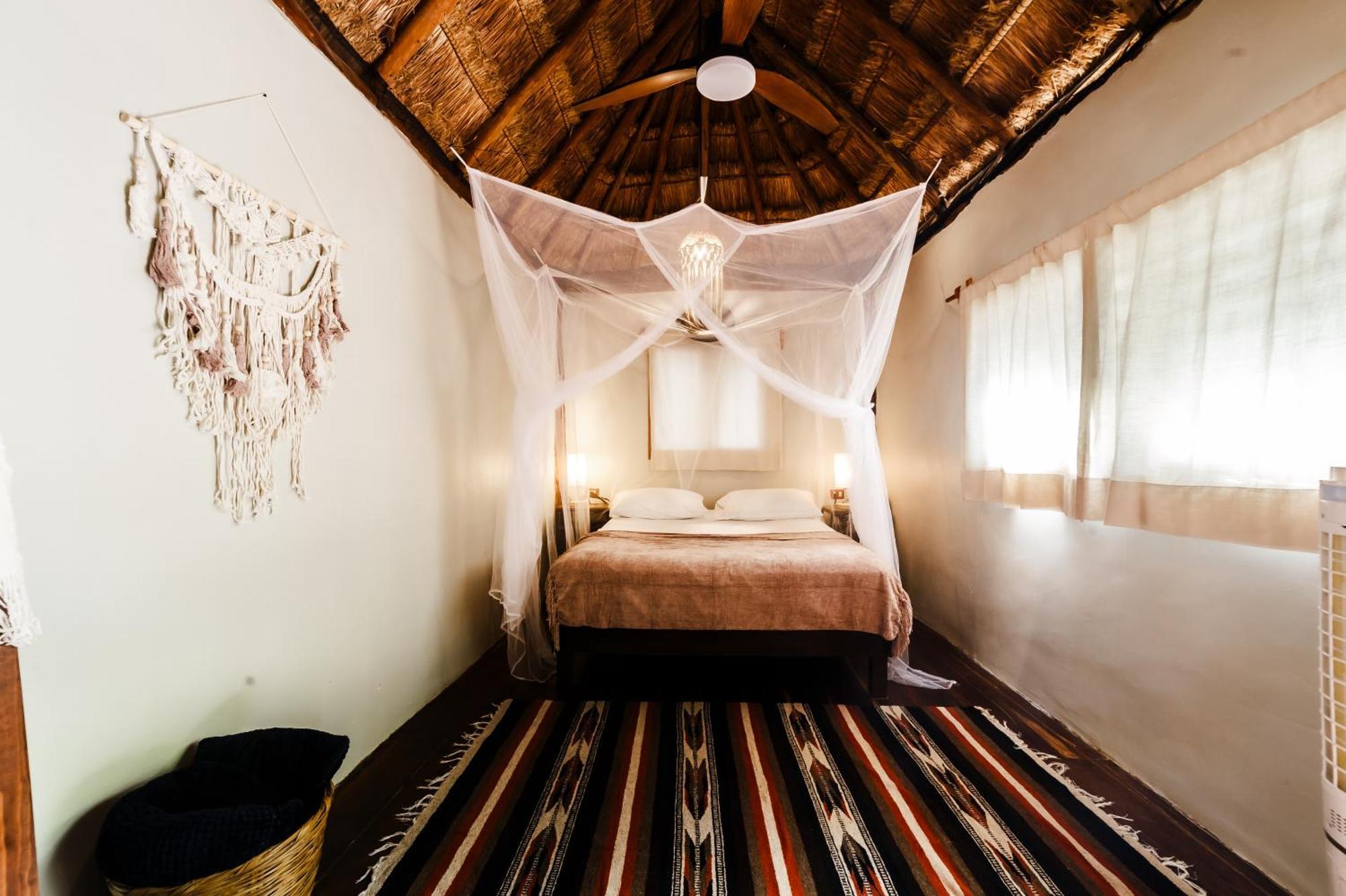 Eco Banitas
