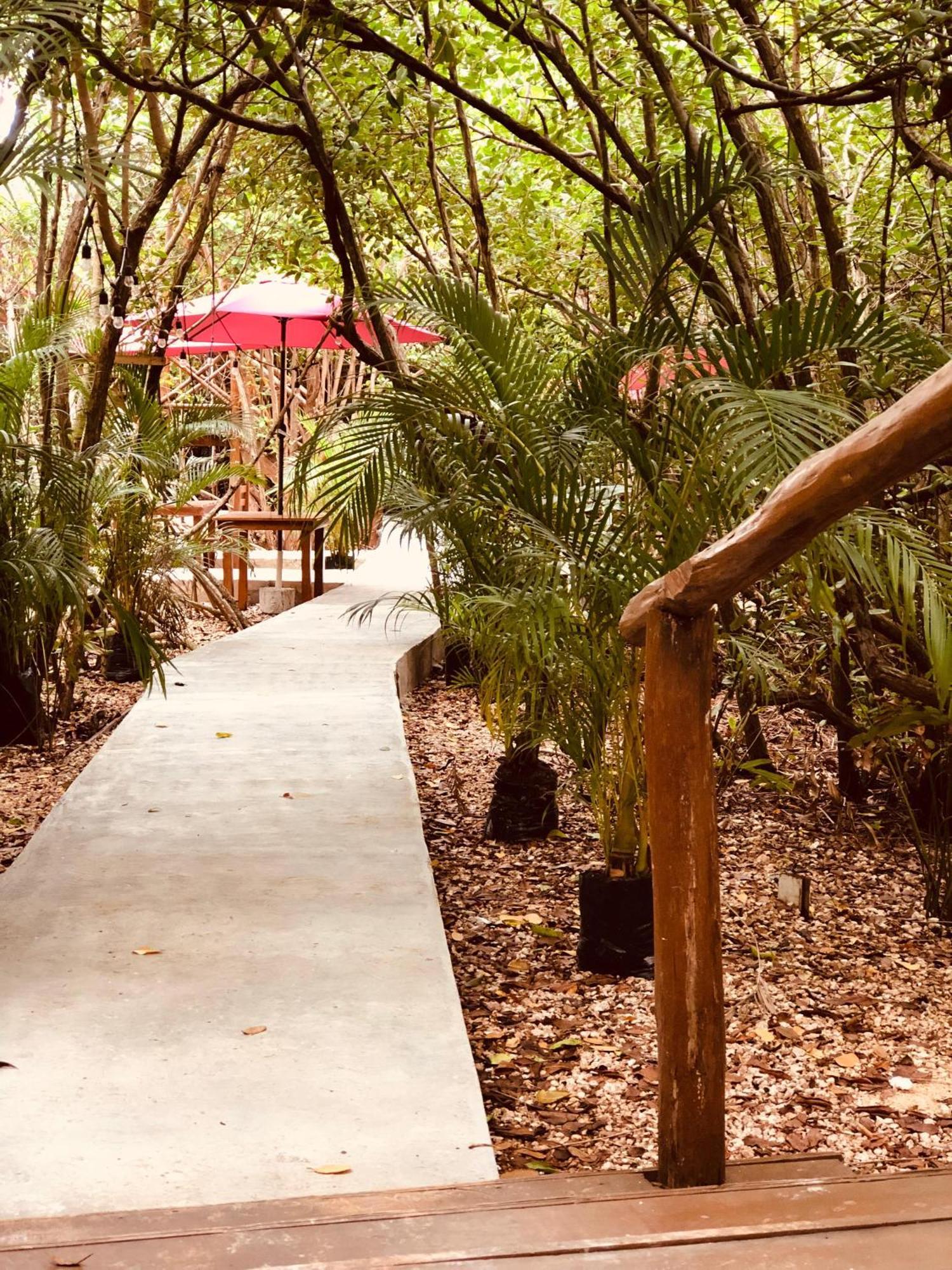 - Aldea Mangle & Cenote Alojamento *