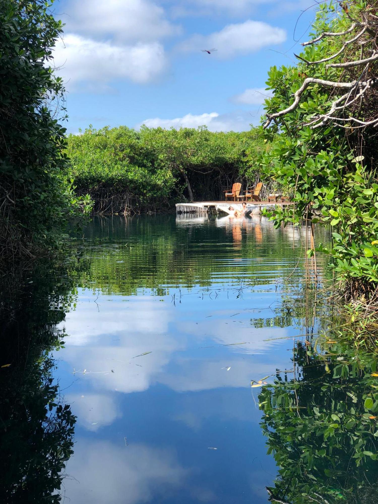 Alojamento - Aldea Mangle & Cenote *