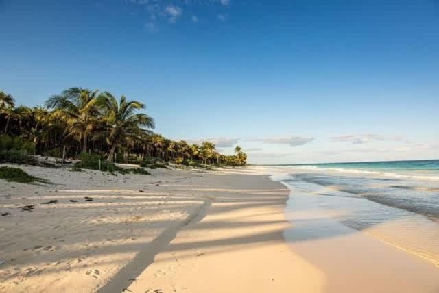 Beautiful 5 Bedroom Beachfront