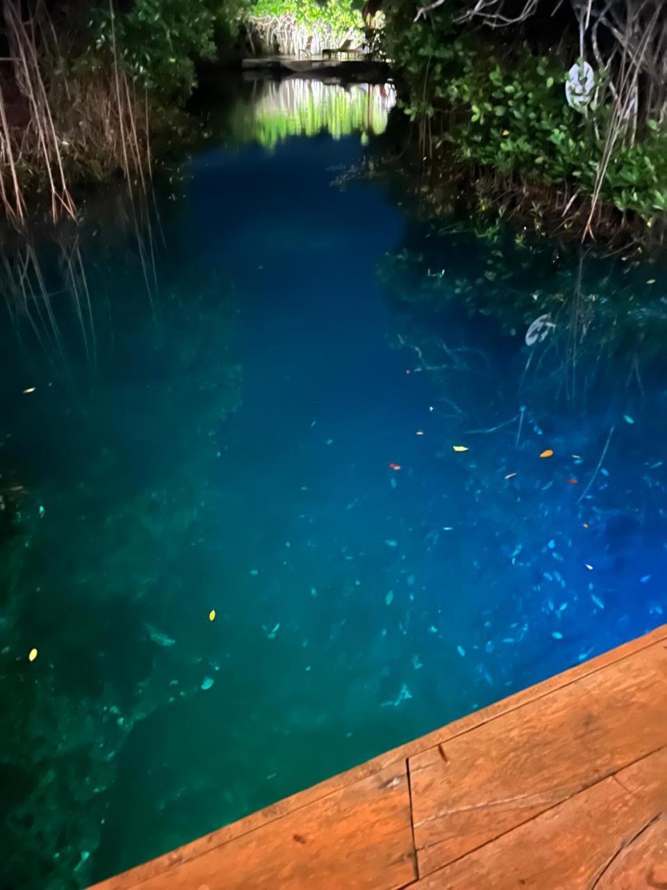 - Aldea Mangle & Cenote Alojamento *