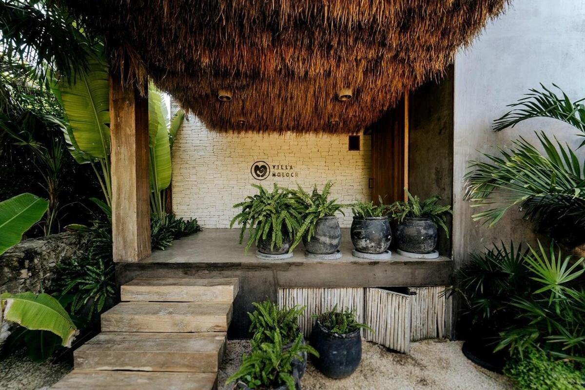 Absolutely Perfect, Better Than The Pictures Apartment Tulum
