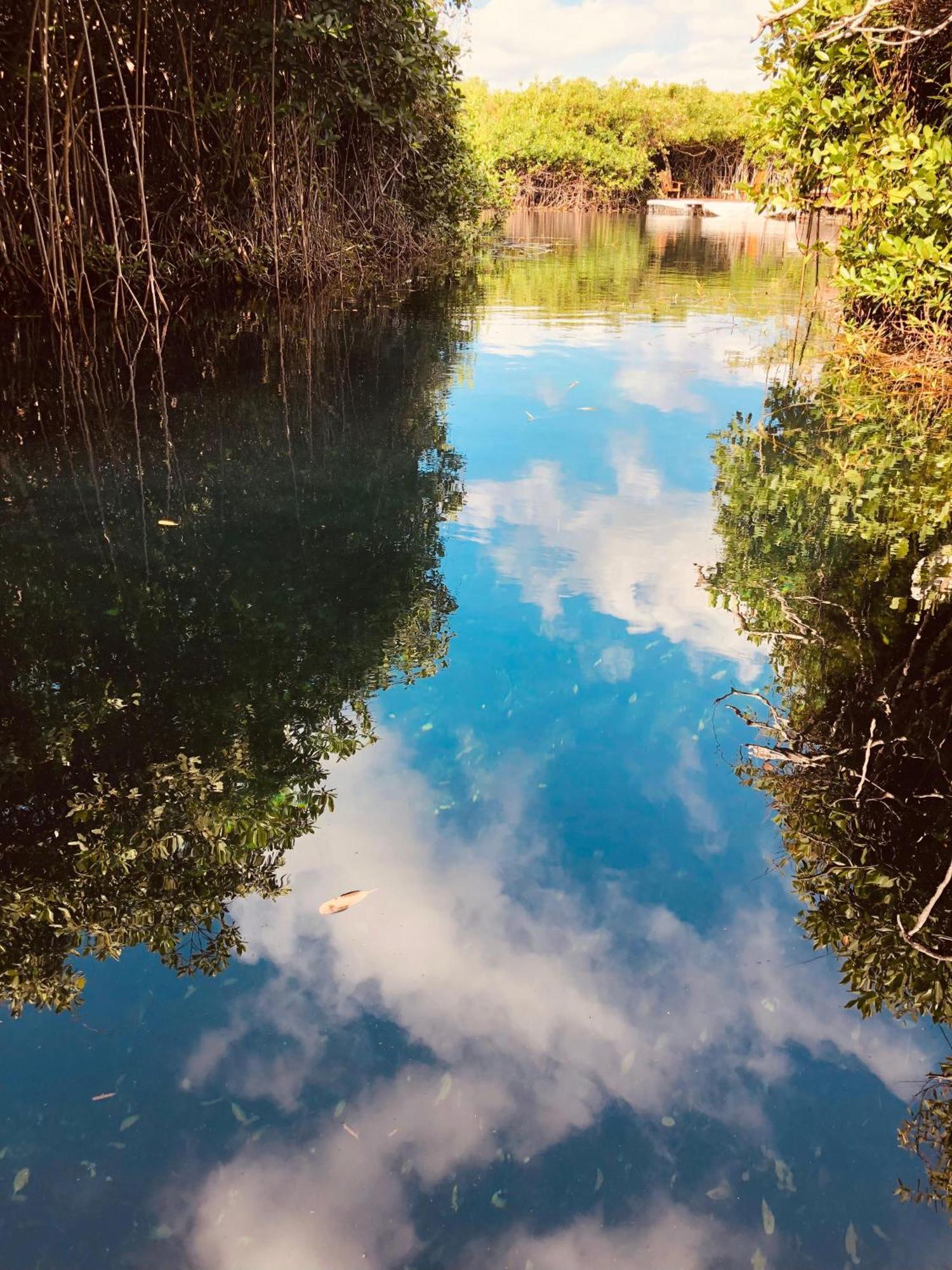- Aldea Mangle & Cenote Alojamento *