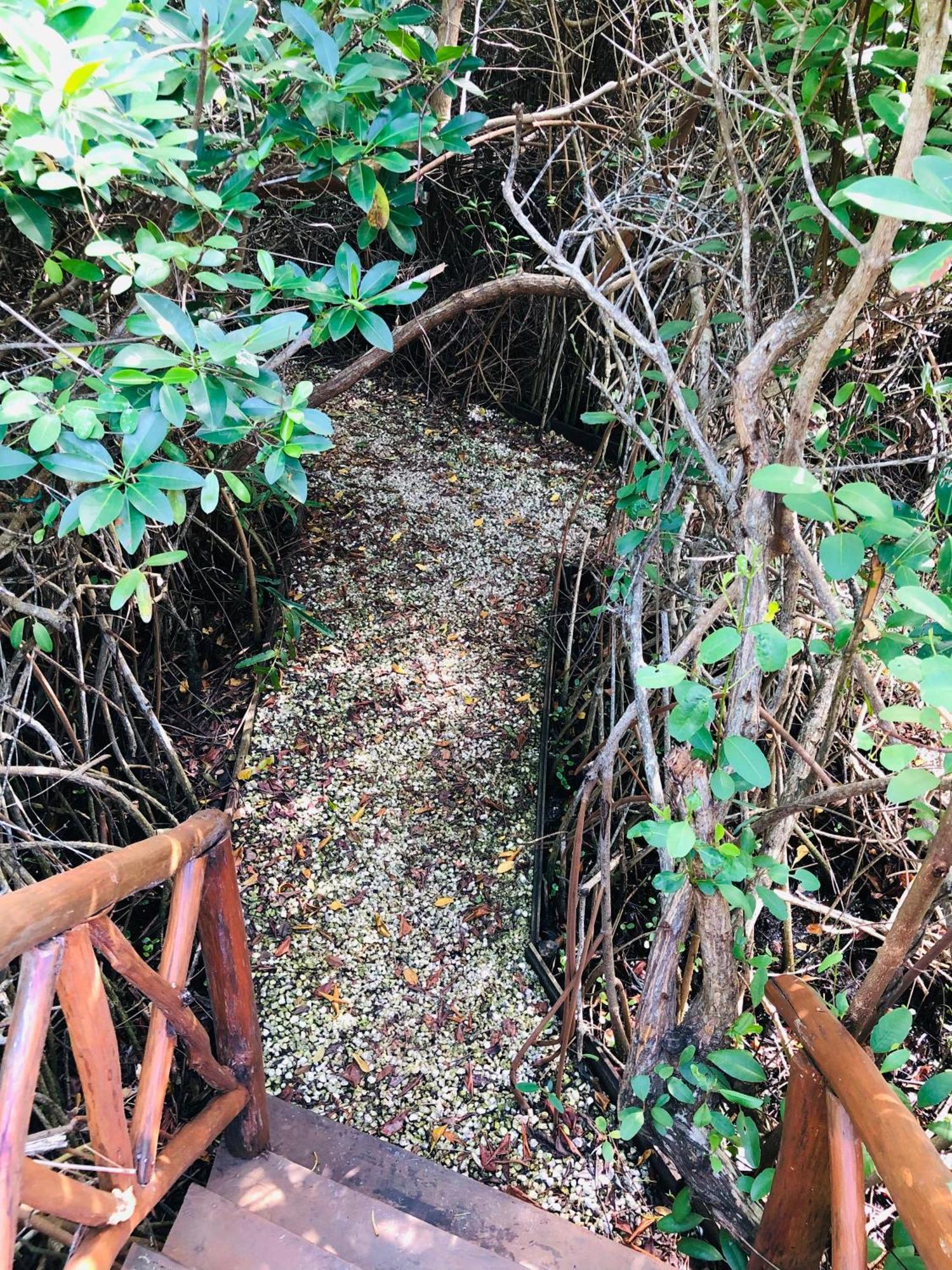 - Aldea Mangle & Cenote Alojamento