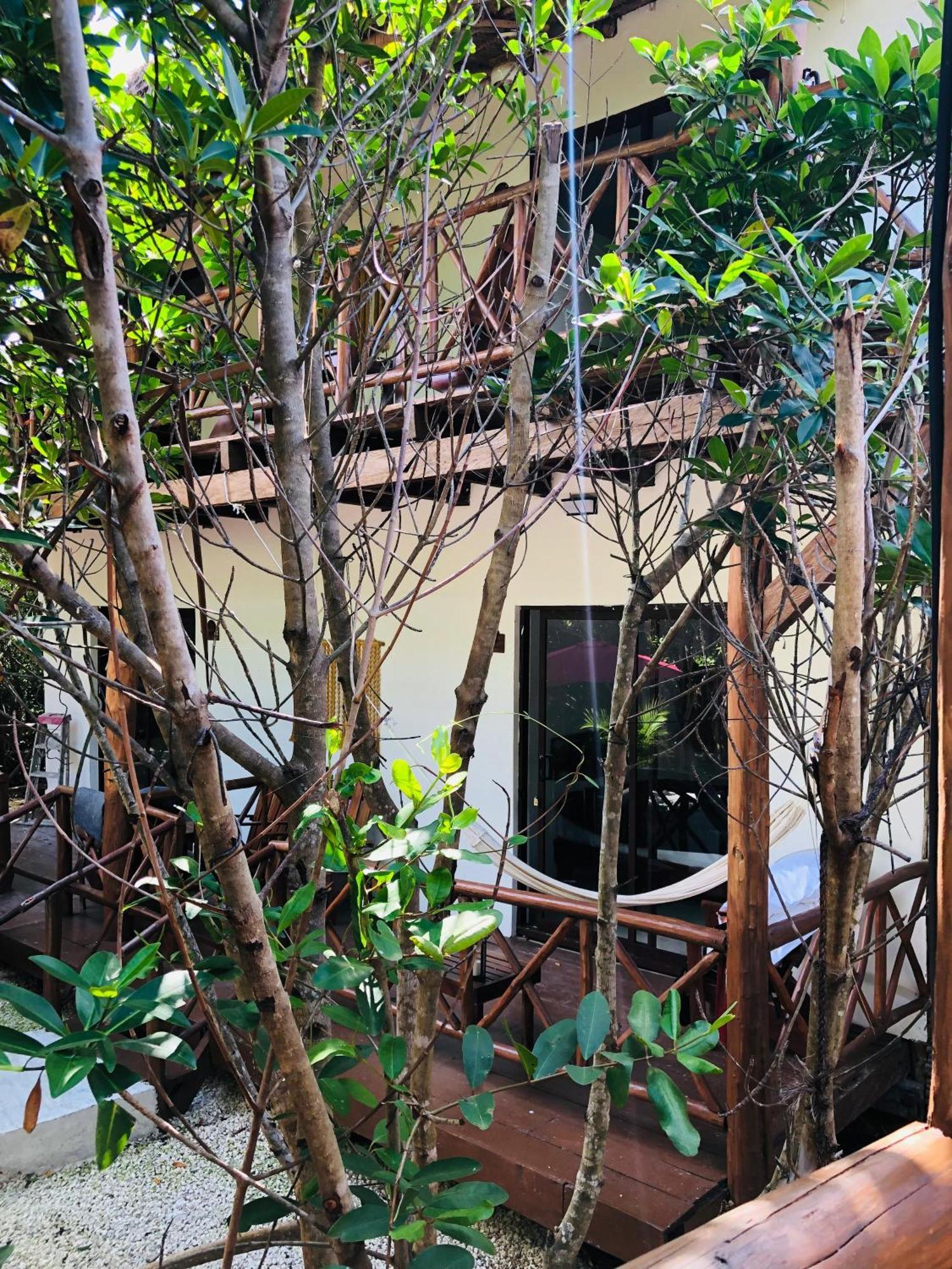 - Aldea Mangle & Cenote Alojamento *