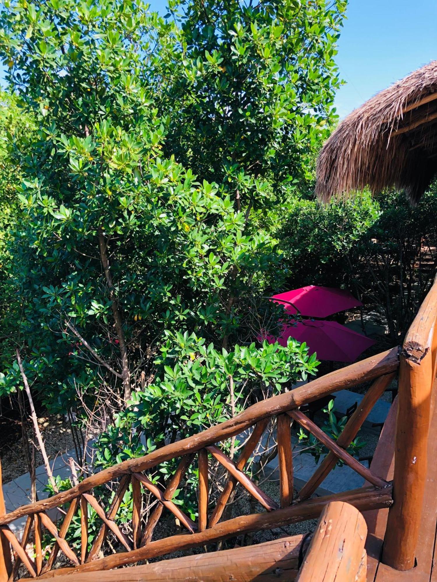 Alojamento - Aldea Mangle & Cenote Tulum