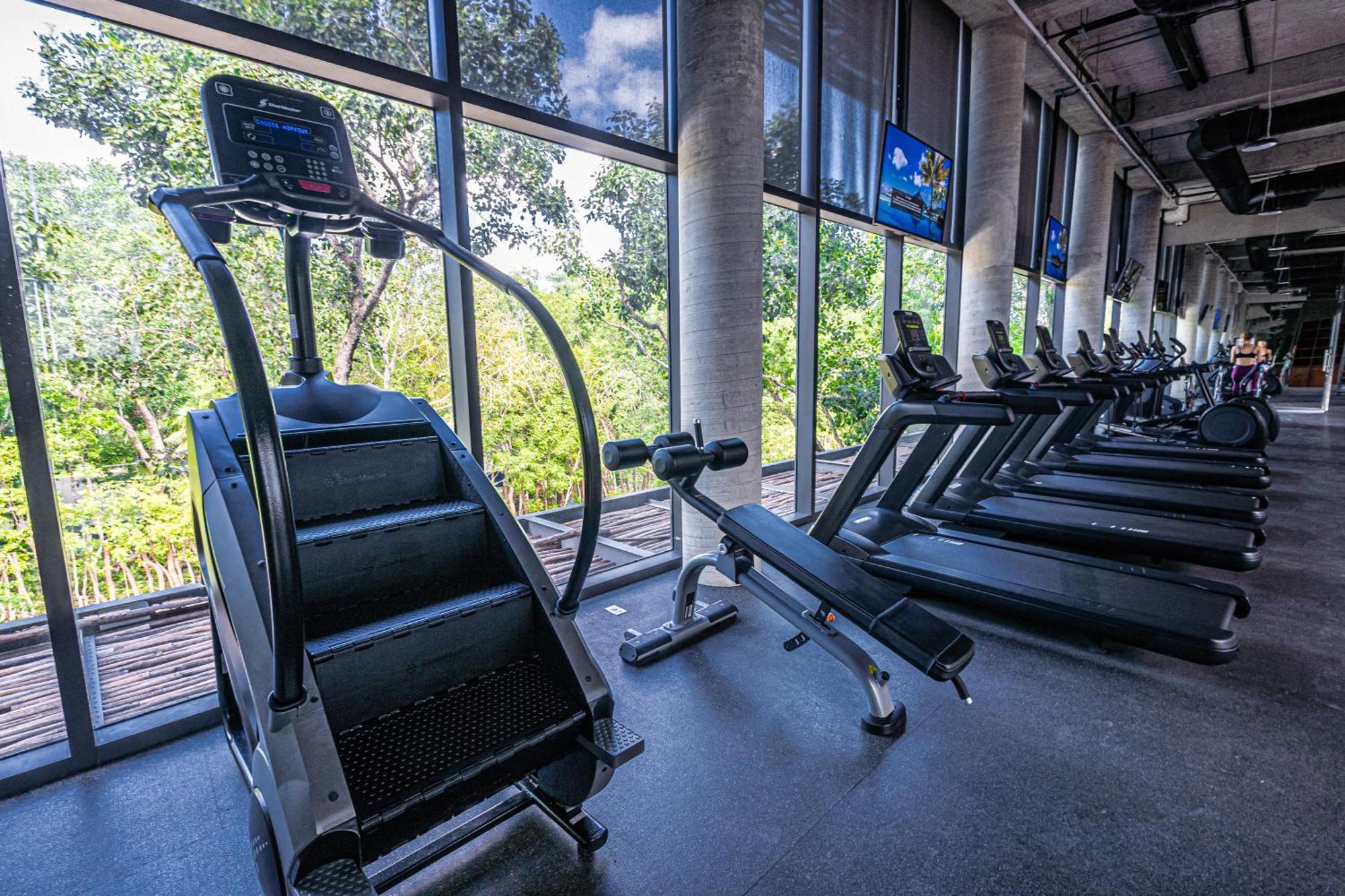 Serene Hideaway With Cenotes Apartment