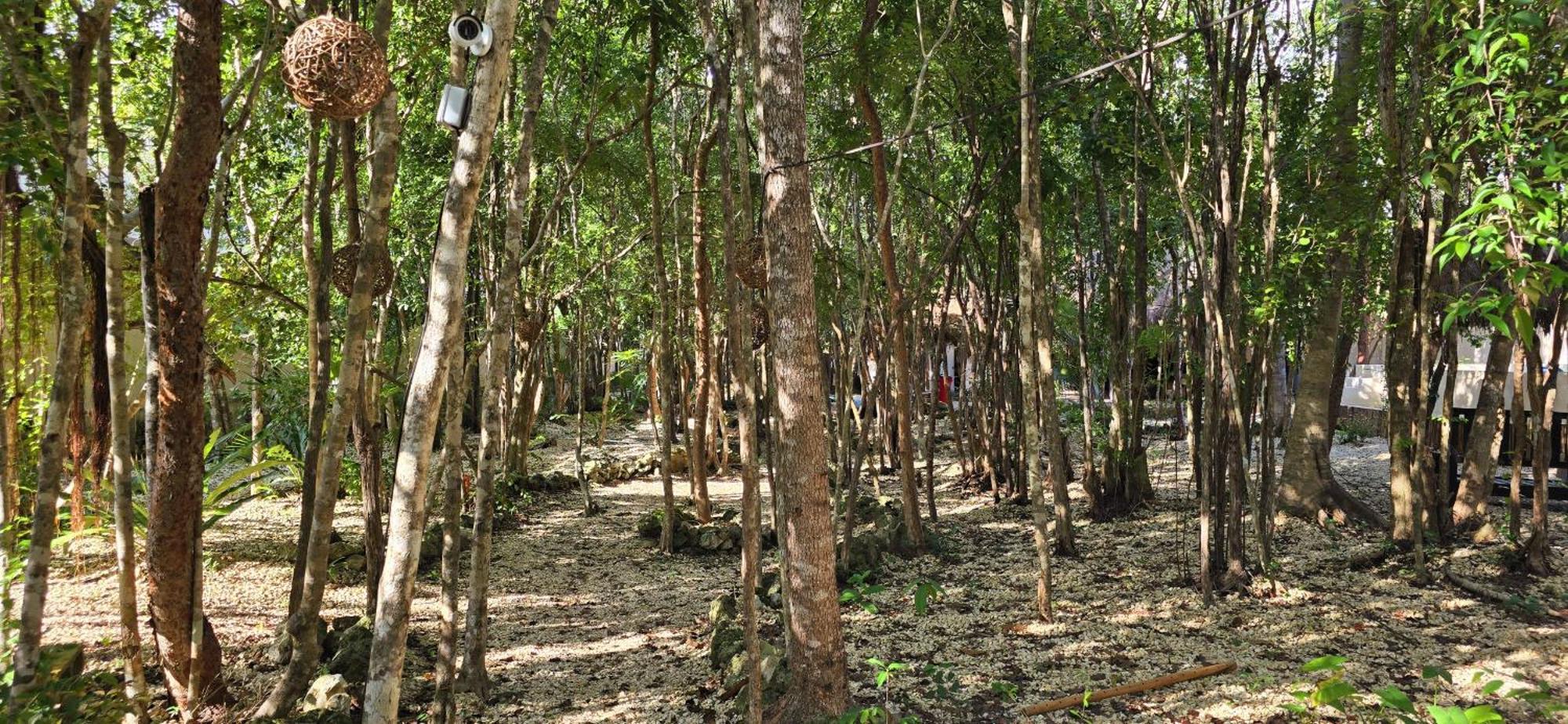 Guest house Kin Ii Tulum