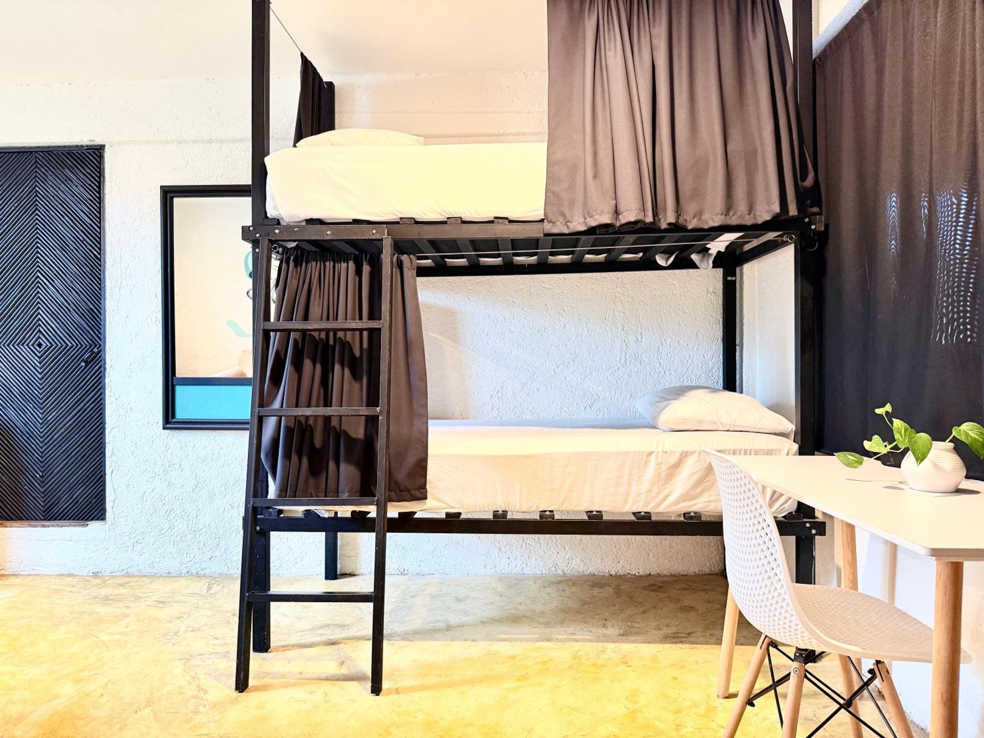Oryx Albergue *