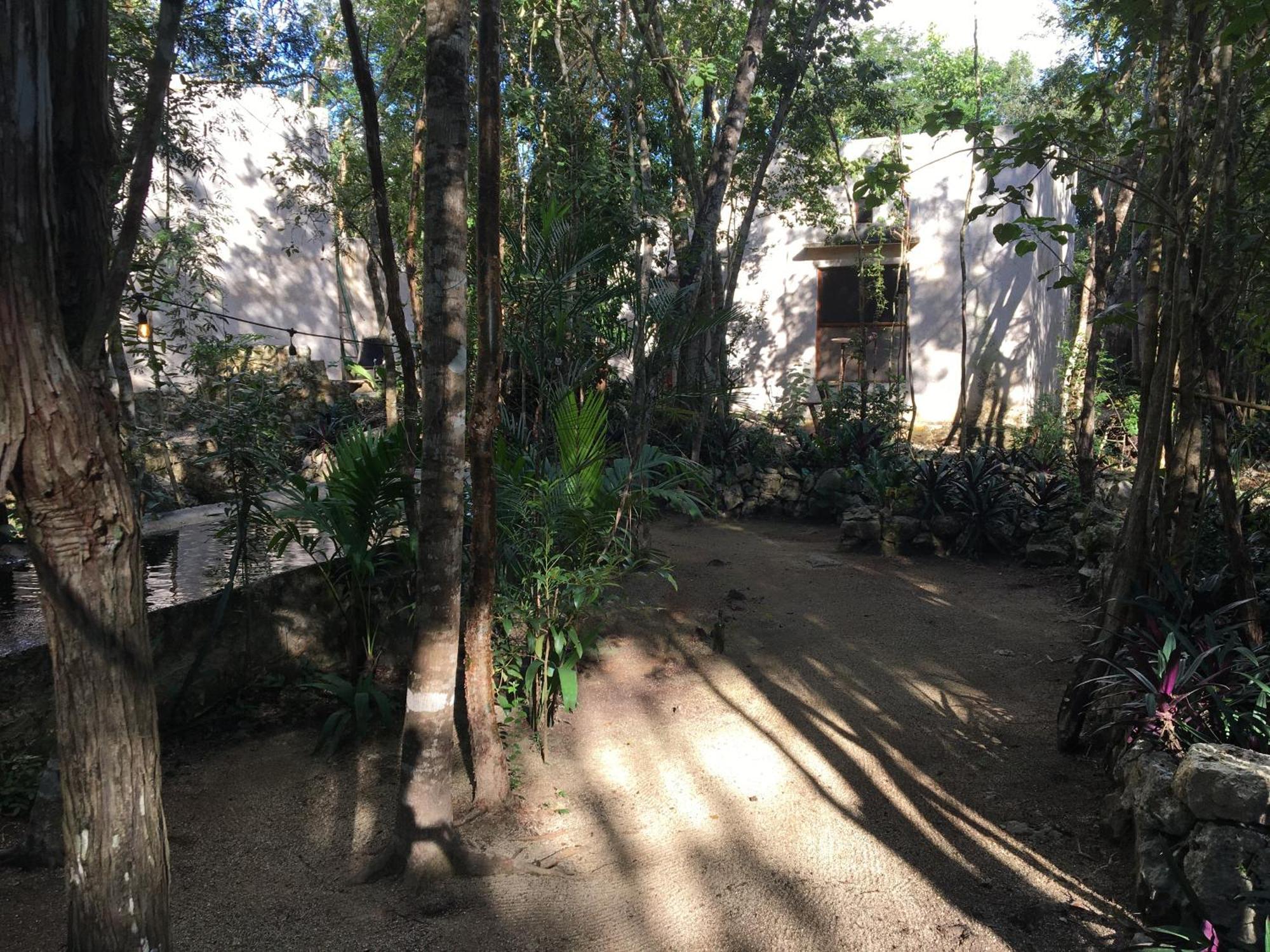 Barefoot Jungle *