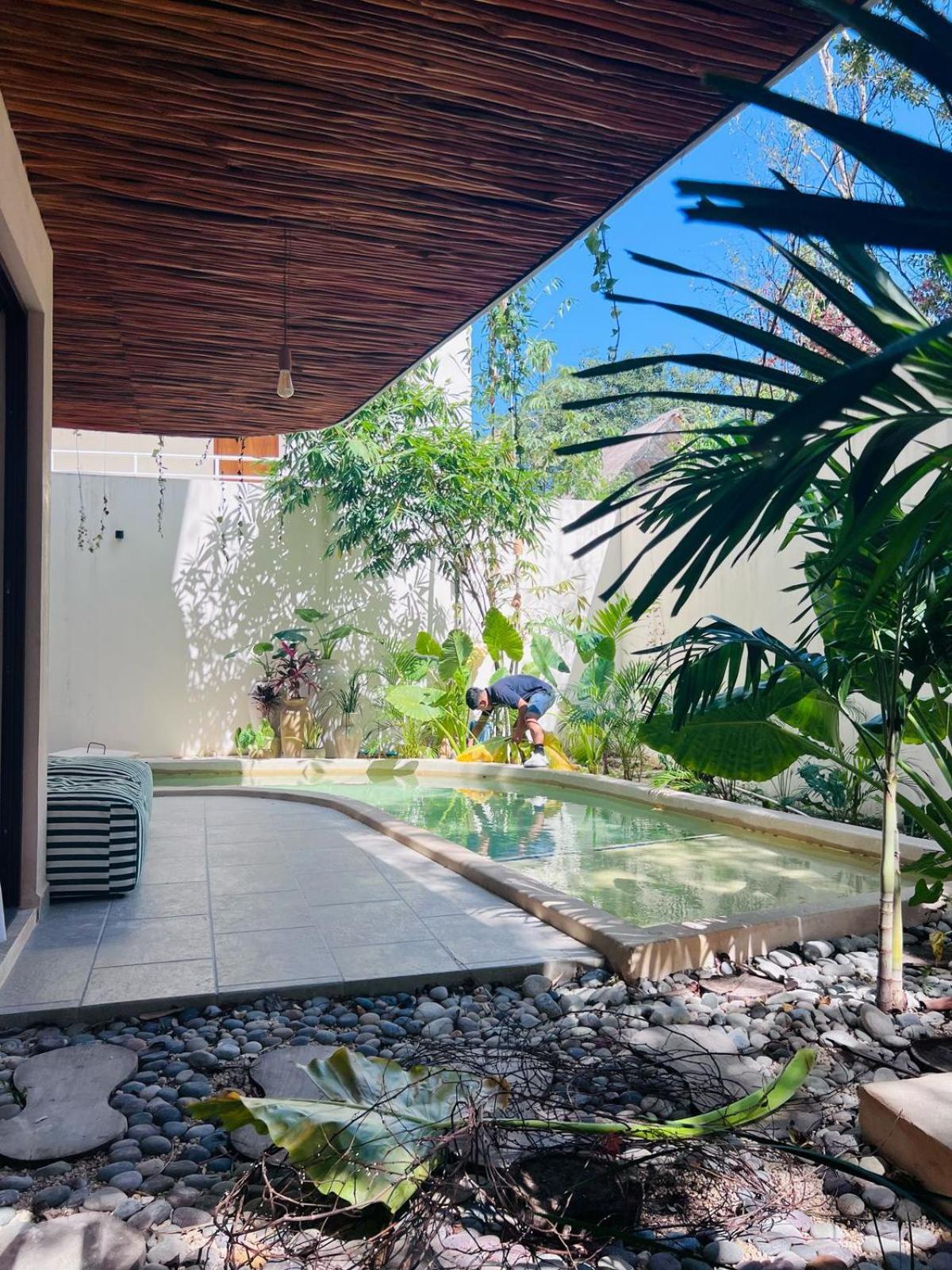 Charming Boutique Jungle Views Private Pool Apartment