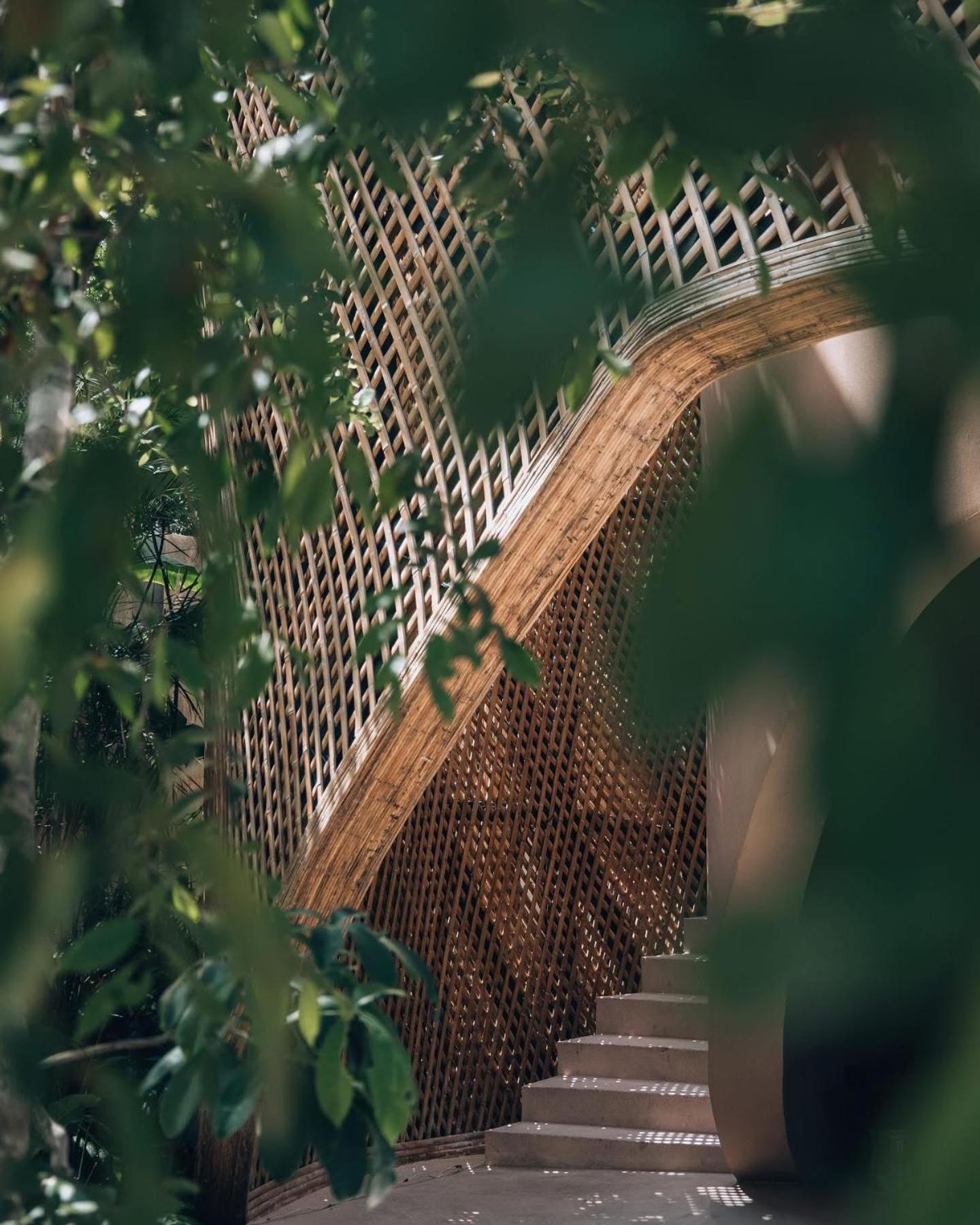 Apartment Jungle Loft Bike Included Tulum