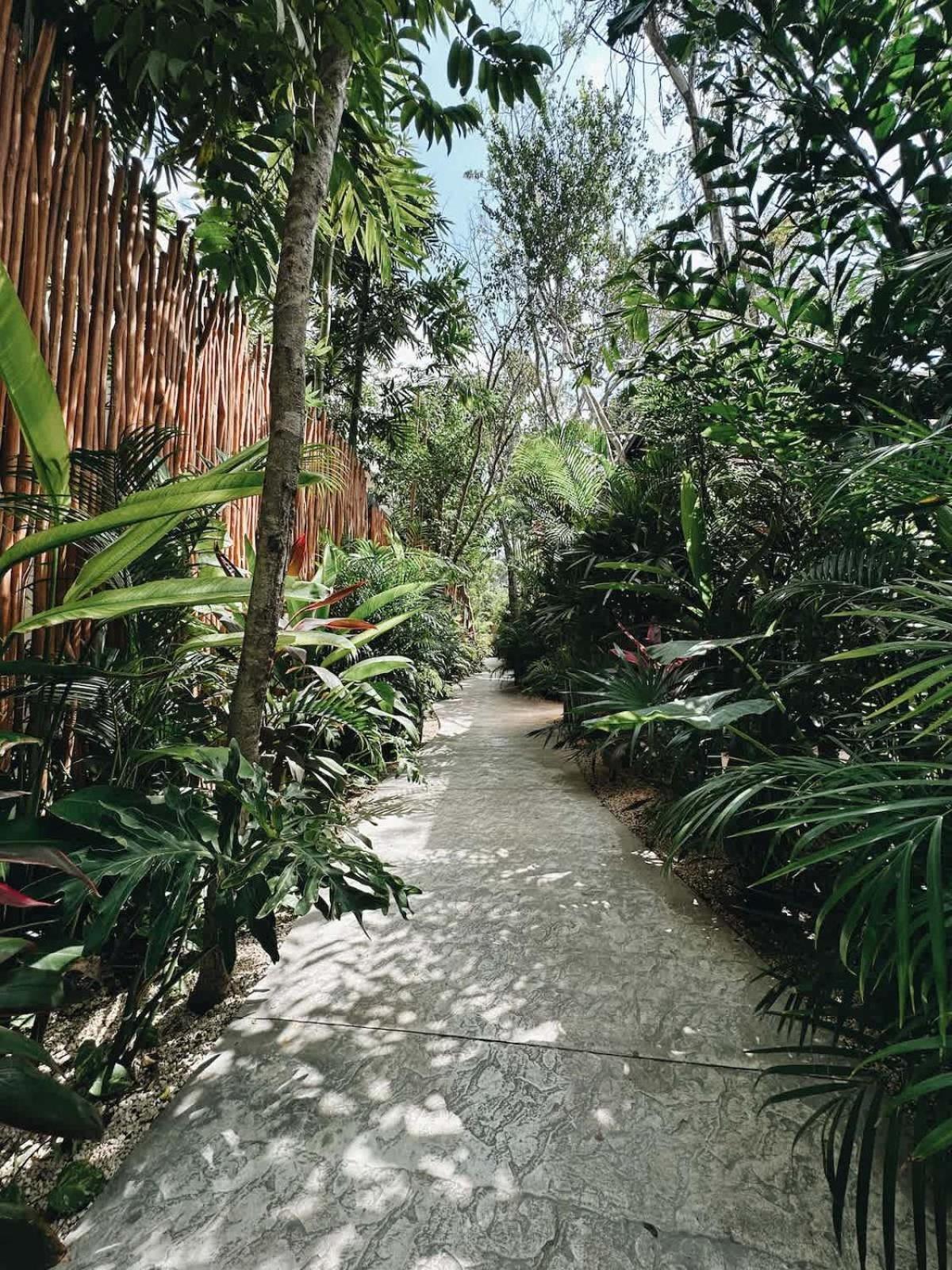 Villa Bambu Con Alberca Privada En *