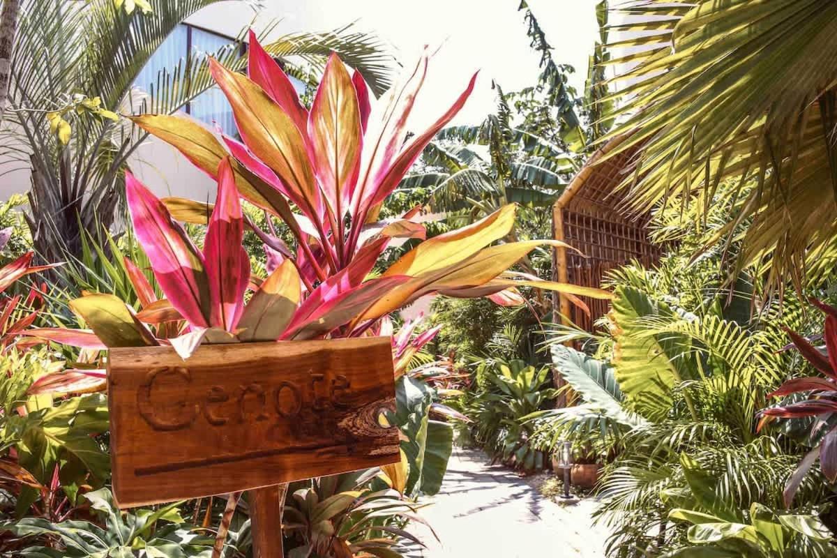 Alberca Privada, Cenote, Casa Baalam Holiday home