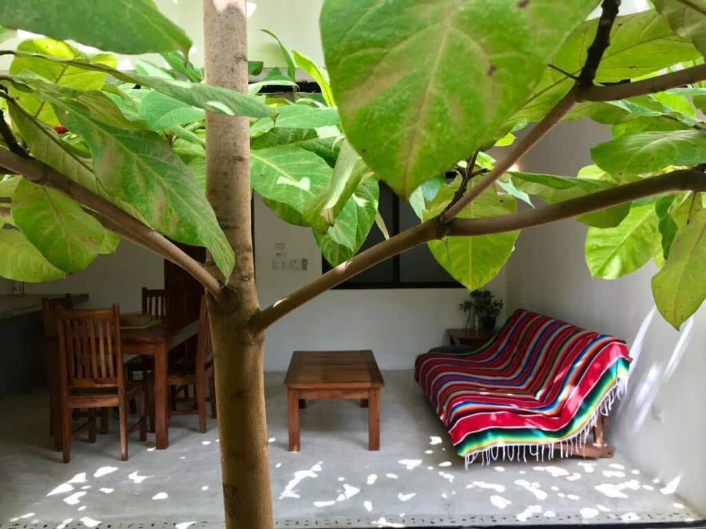 Downtown Cozy 1bd Holiday home *