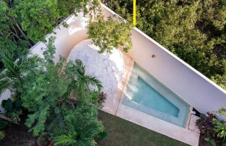 Private Jungle Cool Pool At Dk Dk 500 Mbps Wi-fi 3 Bikes King Bed Apartment