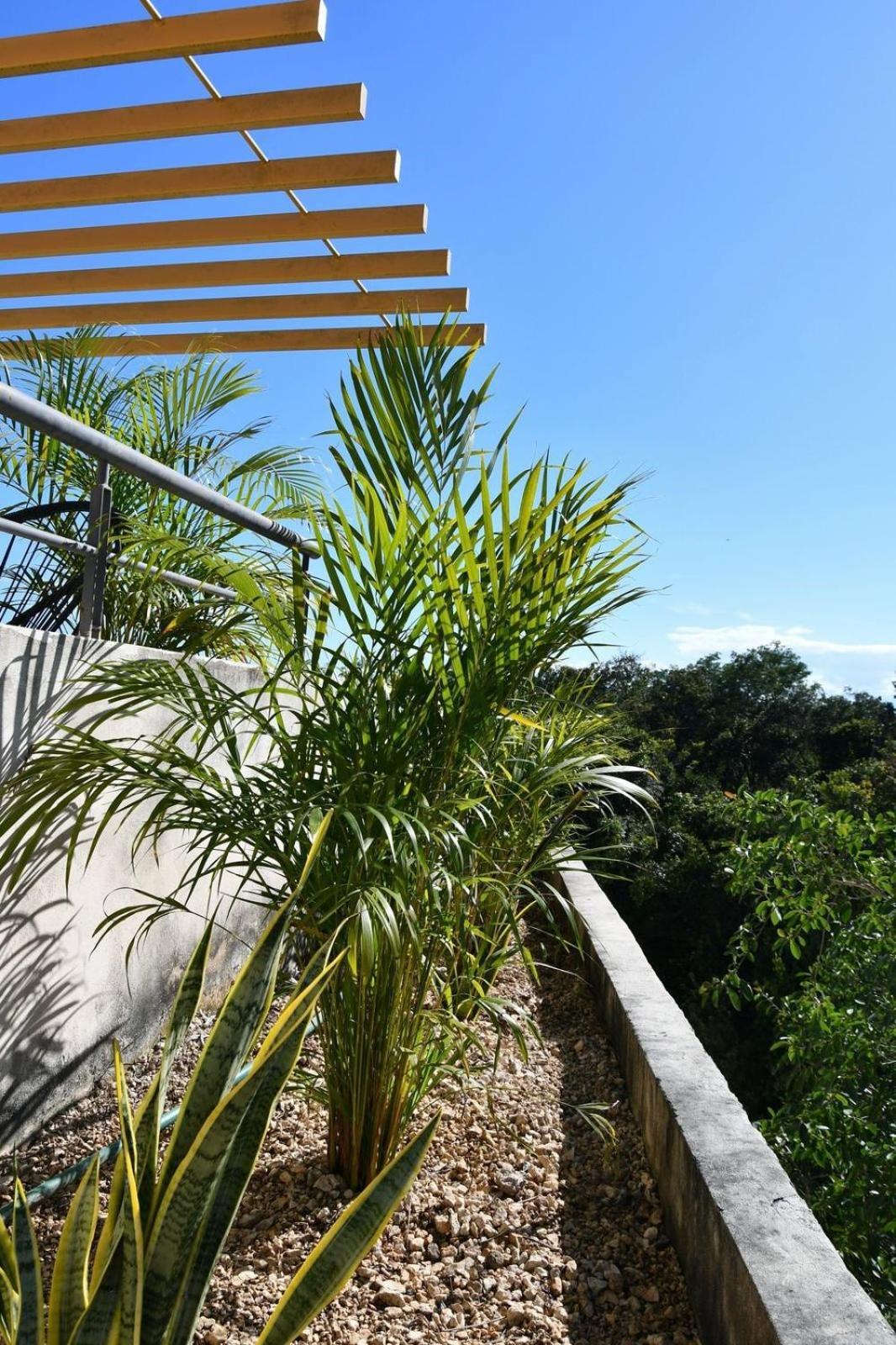 3-bedroom With Private Pool, Terrace And Bbq