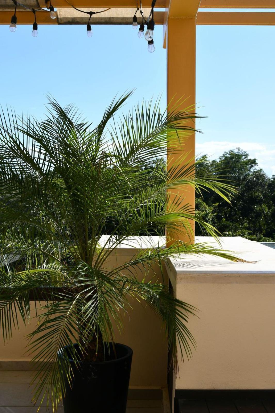 3-bedroom With Private Pool, Terrace And Bbq * Tulum