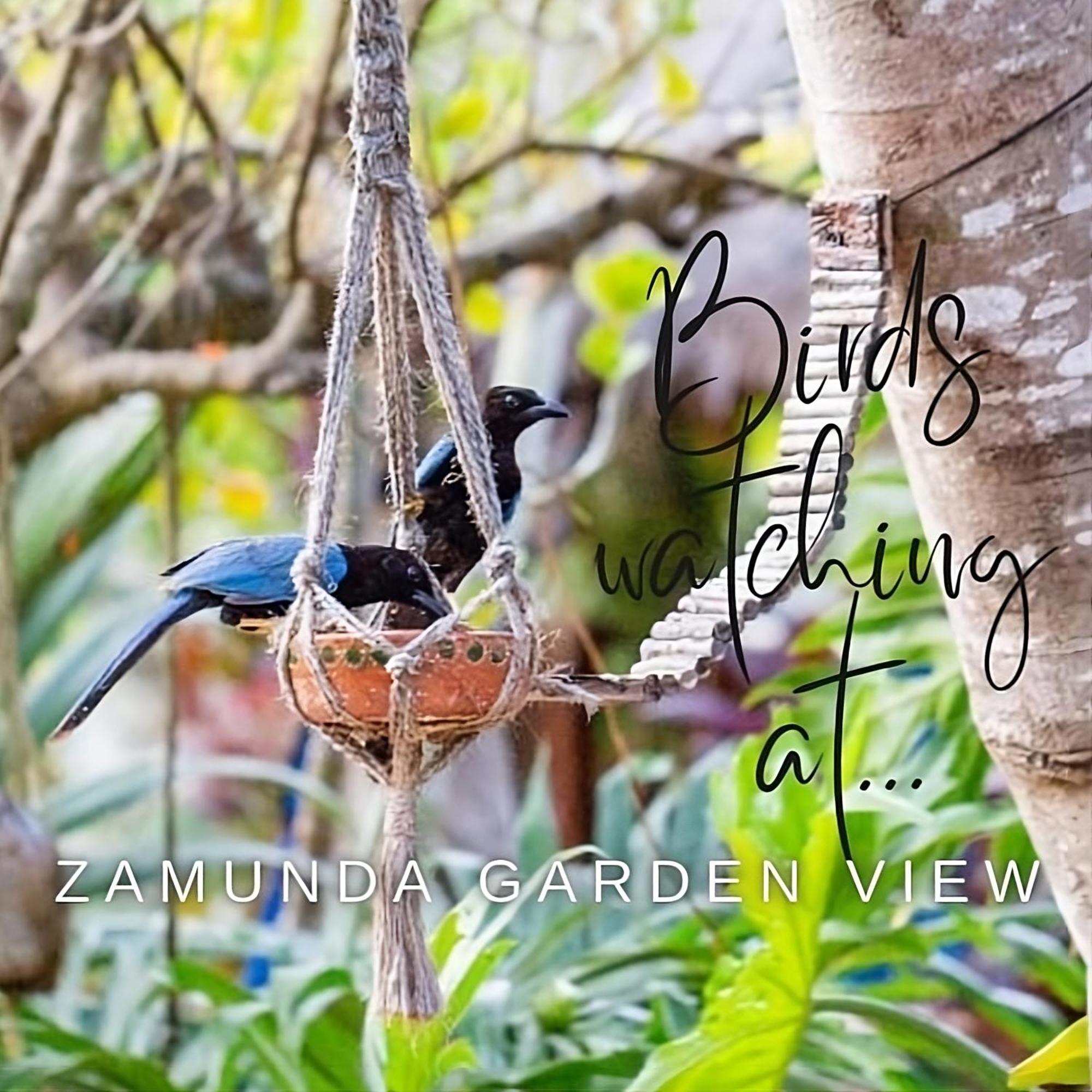 Zamunda Garden View Tulum