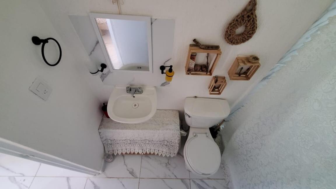 Apartment Hippie Artisan Jungle Flat Pool *