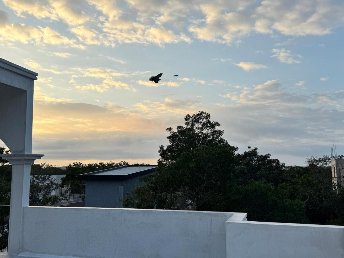 Jungle Loft With Pool And Rooftop Near And Cenotes And Dowtown! Fast Wifi! Perfect For Expats Apartment